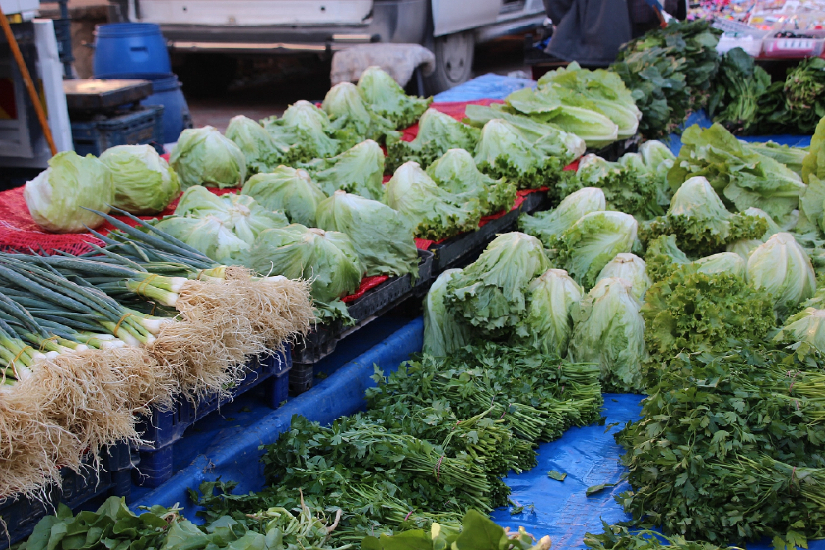 Malatya'da Semt Pazarı ile Hal Arasındaki Fiyat Farklar Dikkat Çekiyor!