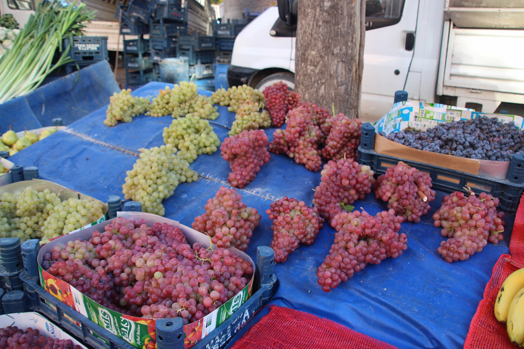 Malatya'da Semt Pazarı ile Hal Arasındaki Fiyat Farklar Dikkat Çekiyor!
