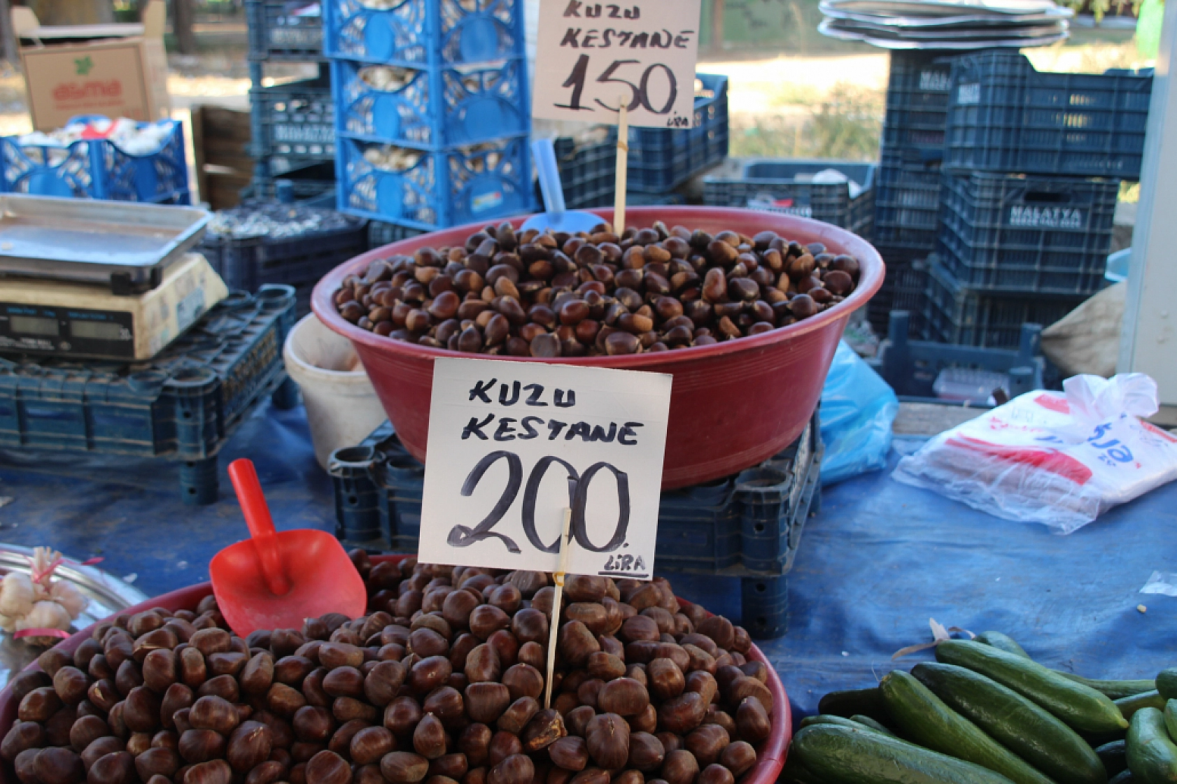 Malatya'da Semt Pazarı ile Hal Arasındaki Fiyat Farklar Dikkat Çekiyor!