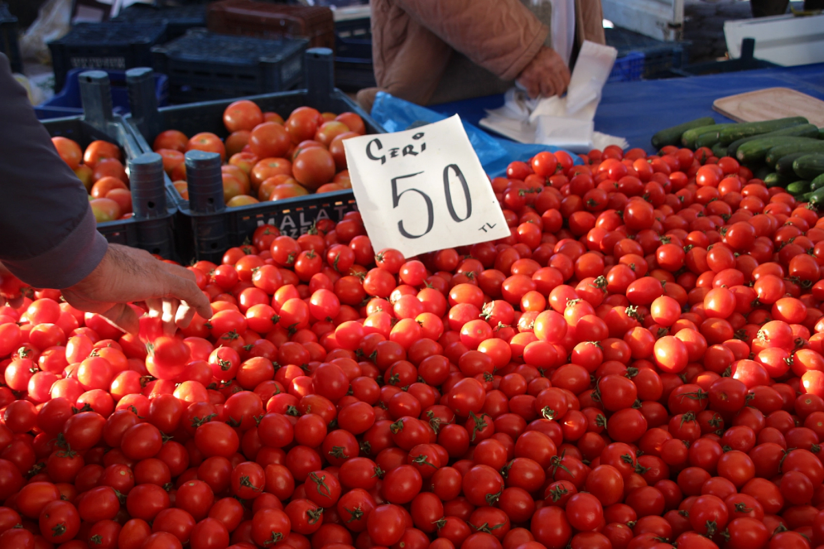 Malatya'da Semt Pazarı ile Hal Arasındaki Fiyat Farklar Dikkat Çekiyor!
