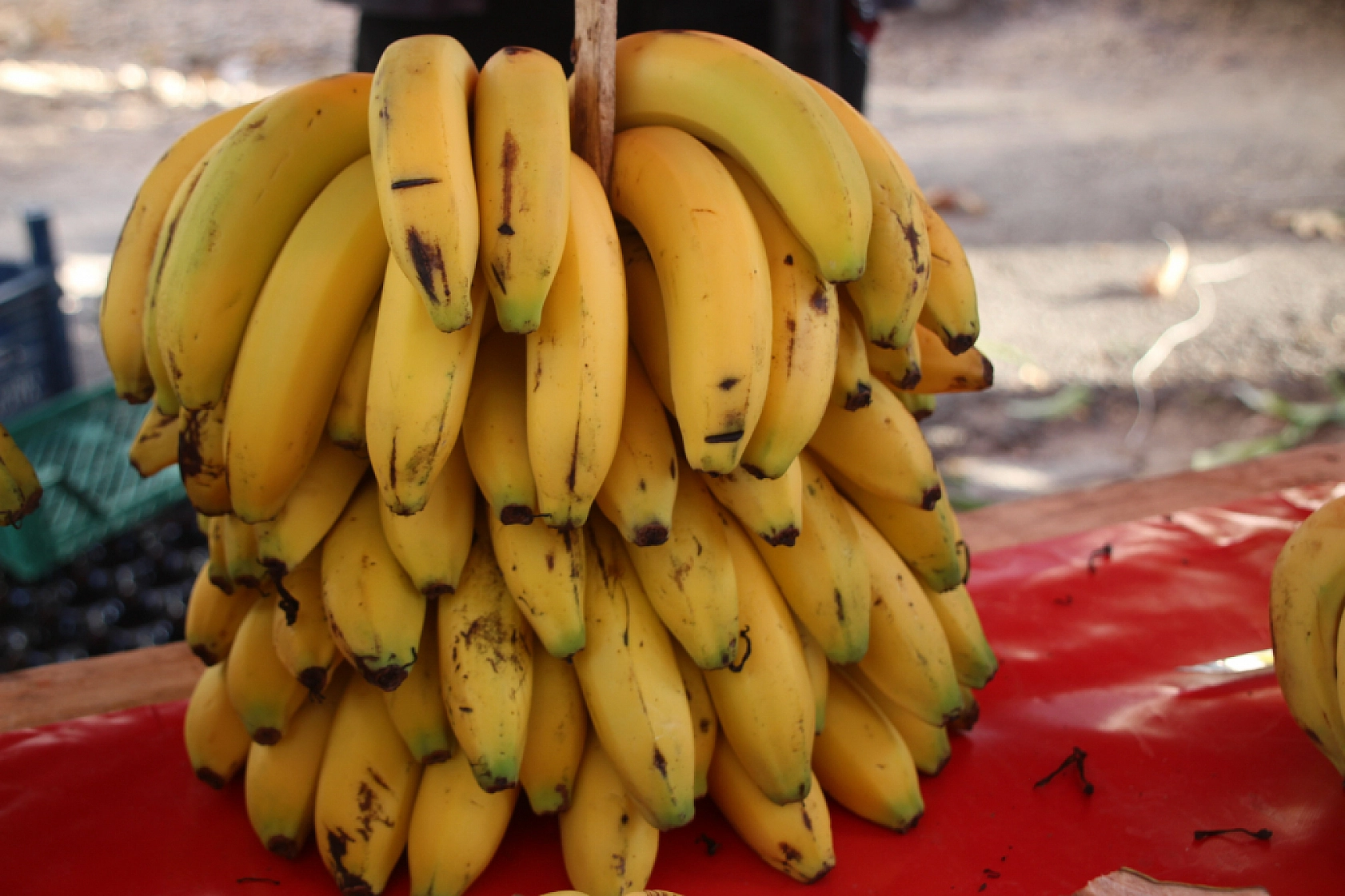 Malatya'da Semt Pazarı ile Hal Arasındaki Fiyat Farklar Dikkat Çekiyor!