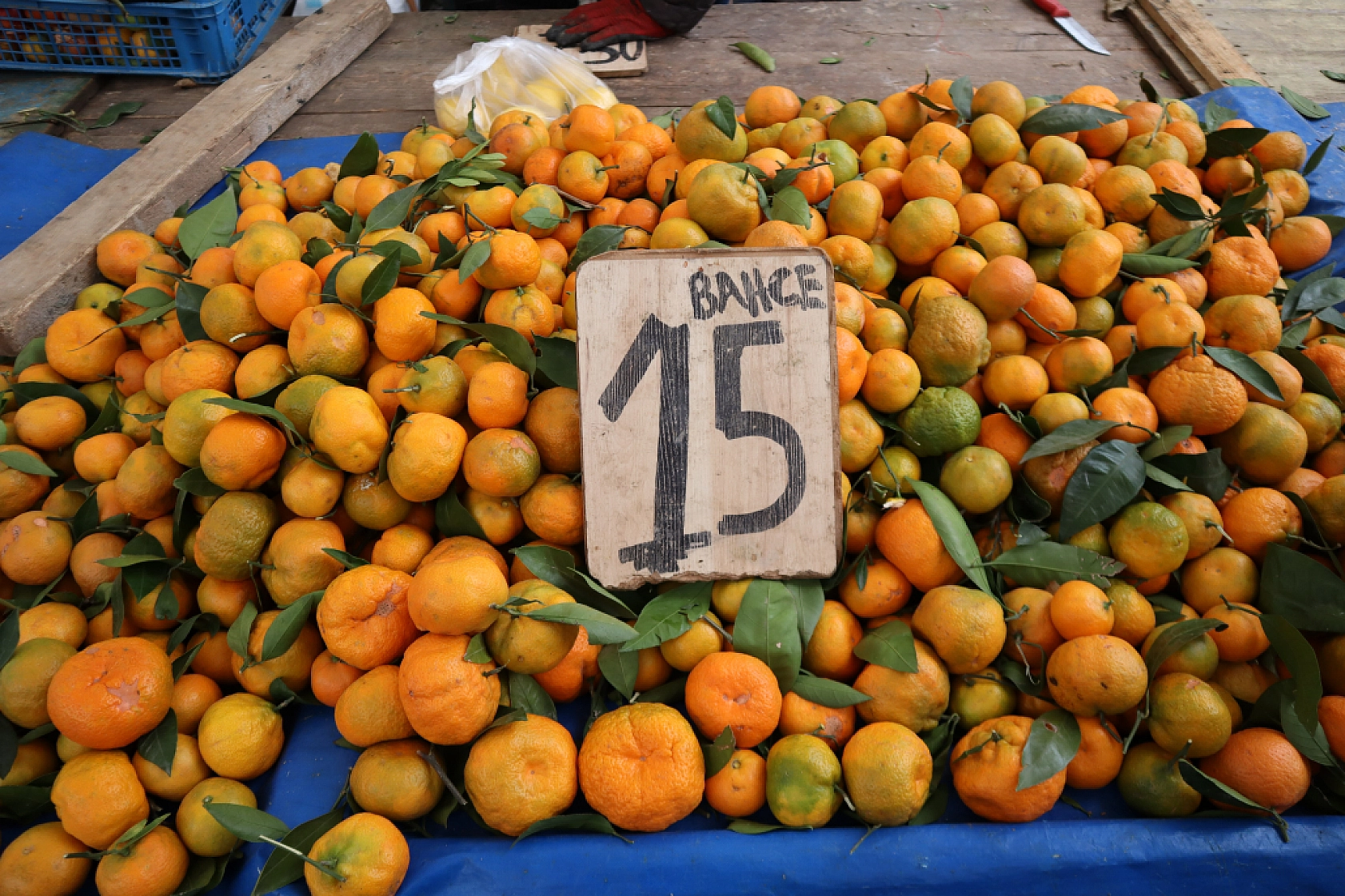 Malatya'da soğuk hava pazar fiyatını etkiledi: Sebze ve meyve cep yaktı!
