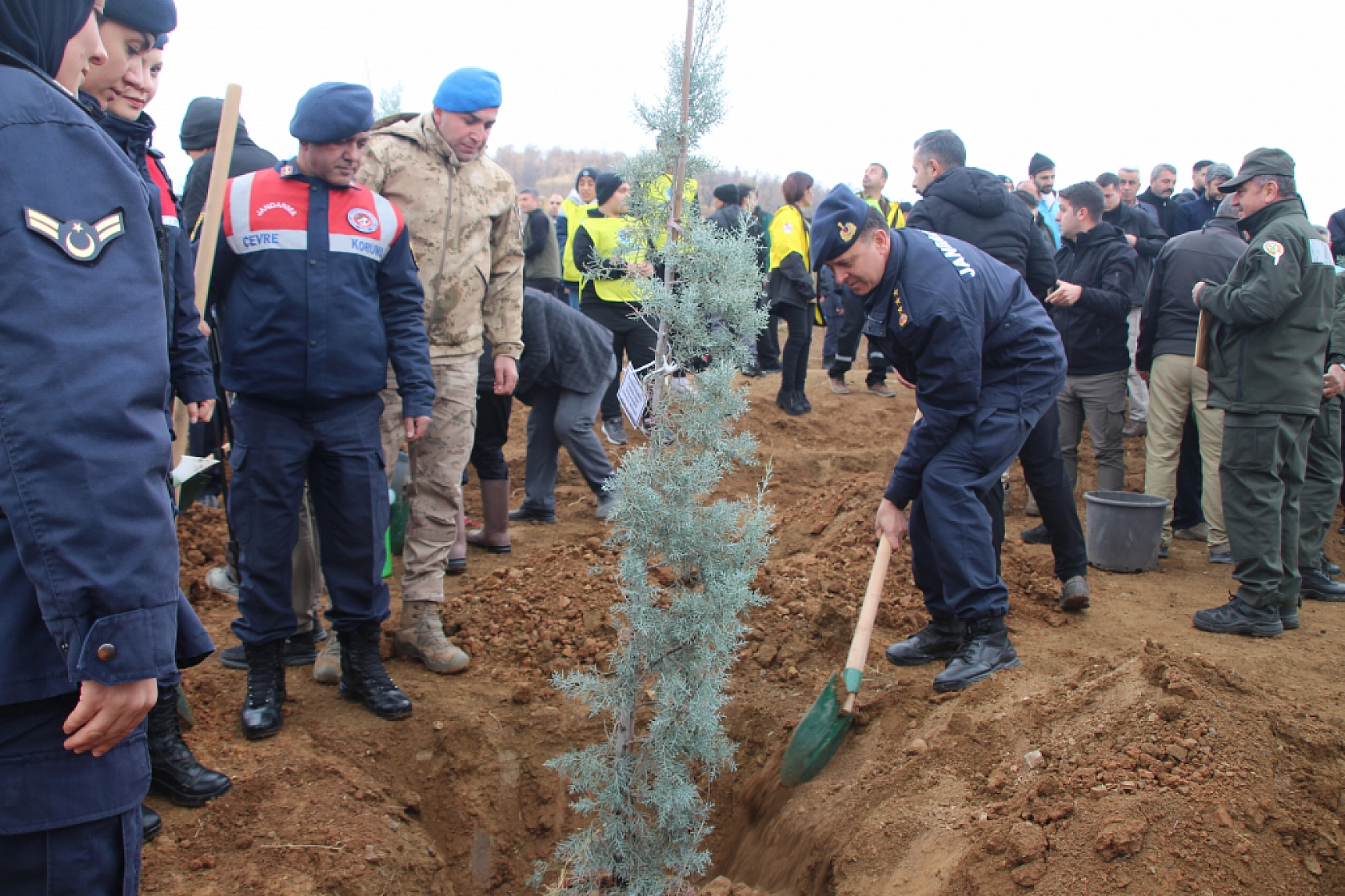 Malatya'da Seferberlik Başladı: 15 Bin Fidan Toprakla Buluştu!