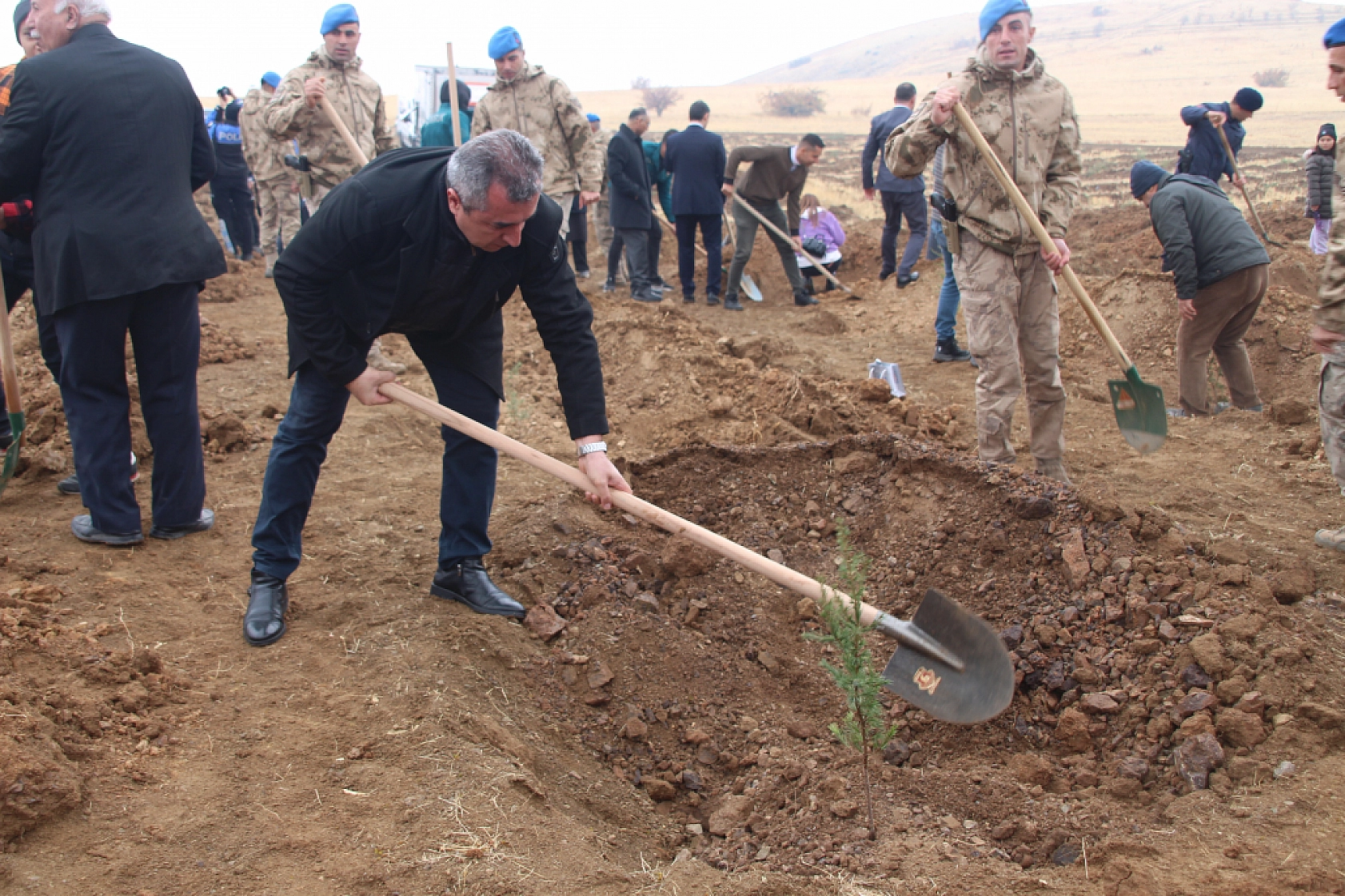 Malatya'da Seferberlik Başladı: 15 Bin Fidan Toprakla Buluştu!