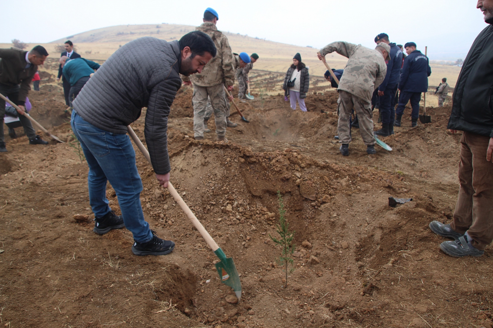 Malatya'da Seferberlik Başladı: 15 Bin Fidan Toprakla Buluştu!
