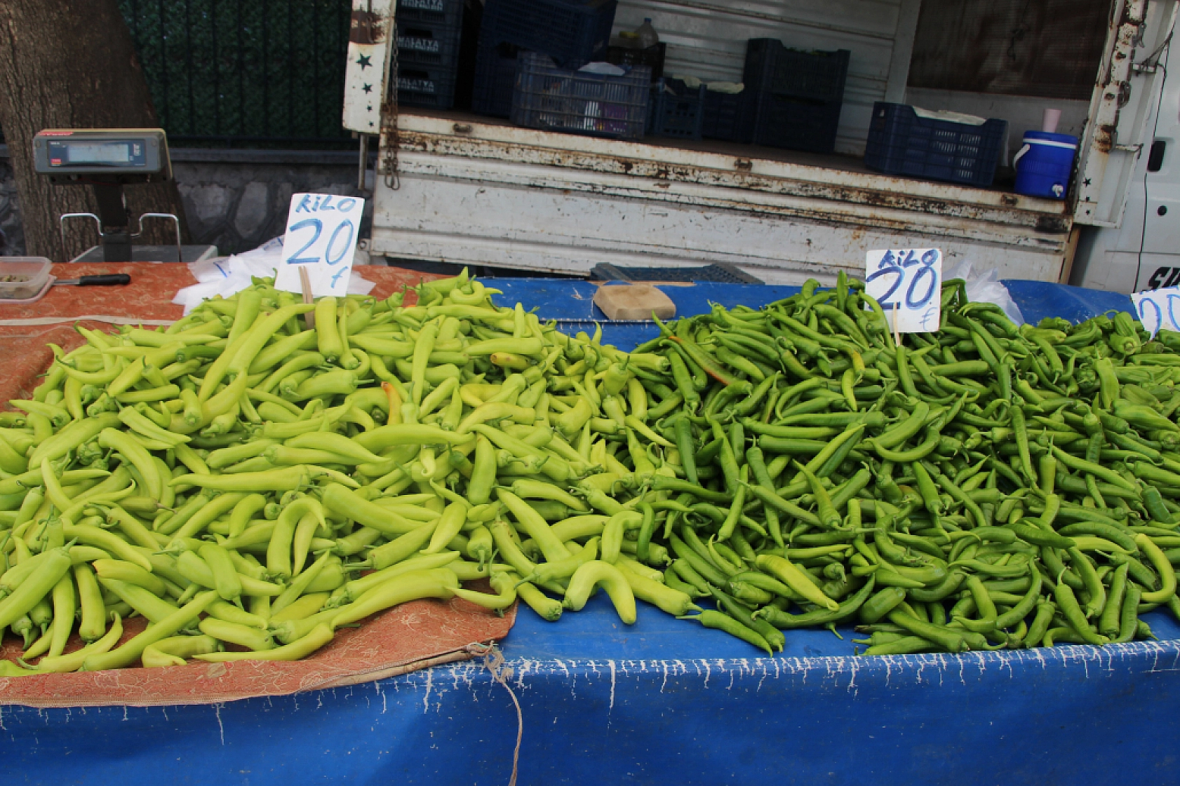 Malatya'da pazar tezgahlarında fiyat tersine döndü: Domates 35 lira, erik 200 lira!