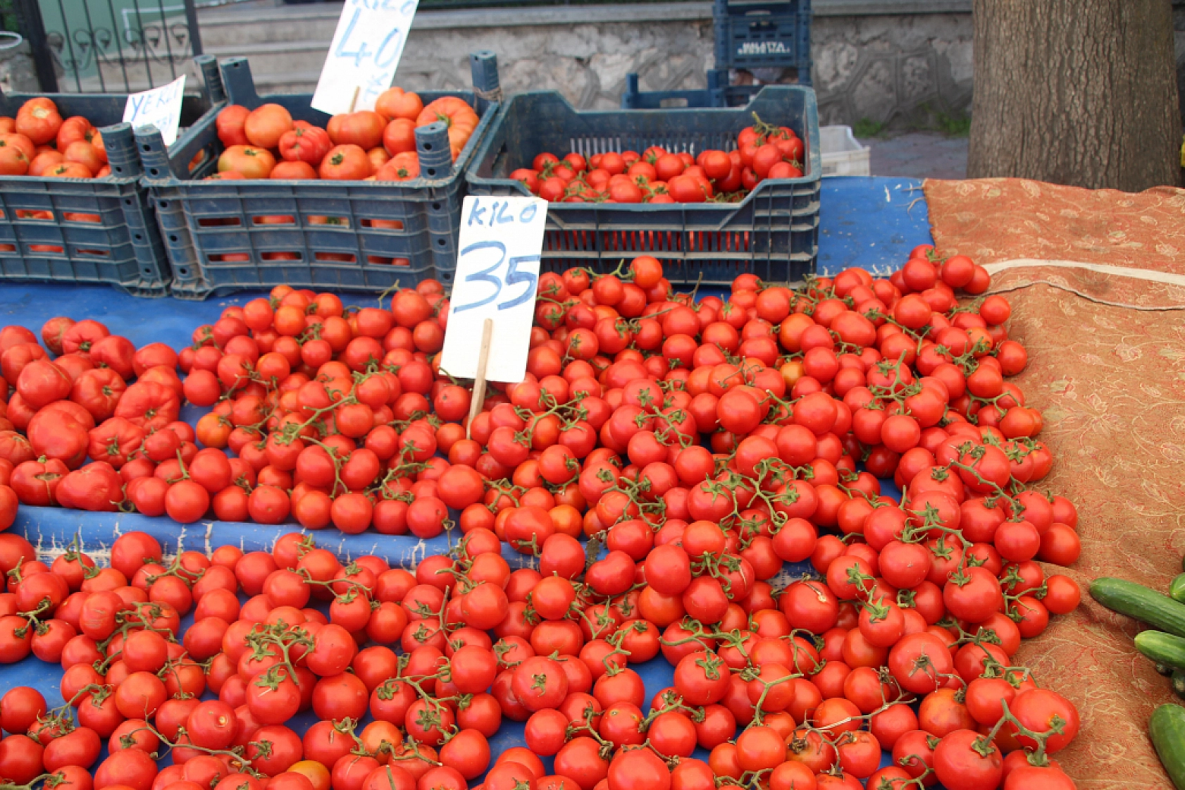 Malatya'da pazar tezgahlarında fiyat tersine döndü: Domates 35 lira, erik 200 lira!
