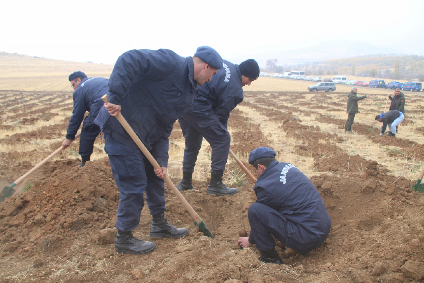Malatya'da Seferberlik Başladı: 15 Bin Fidan Toprakla Buluştu!
