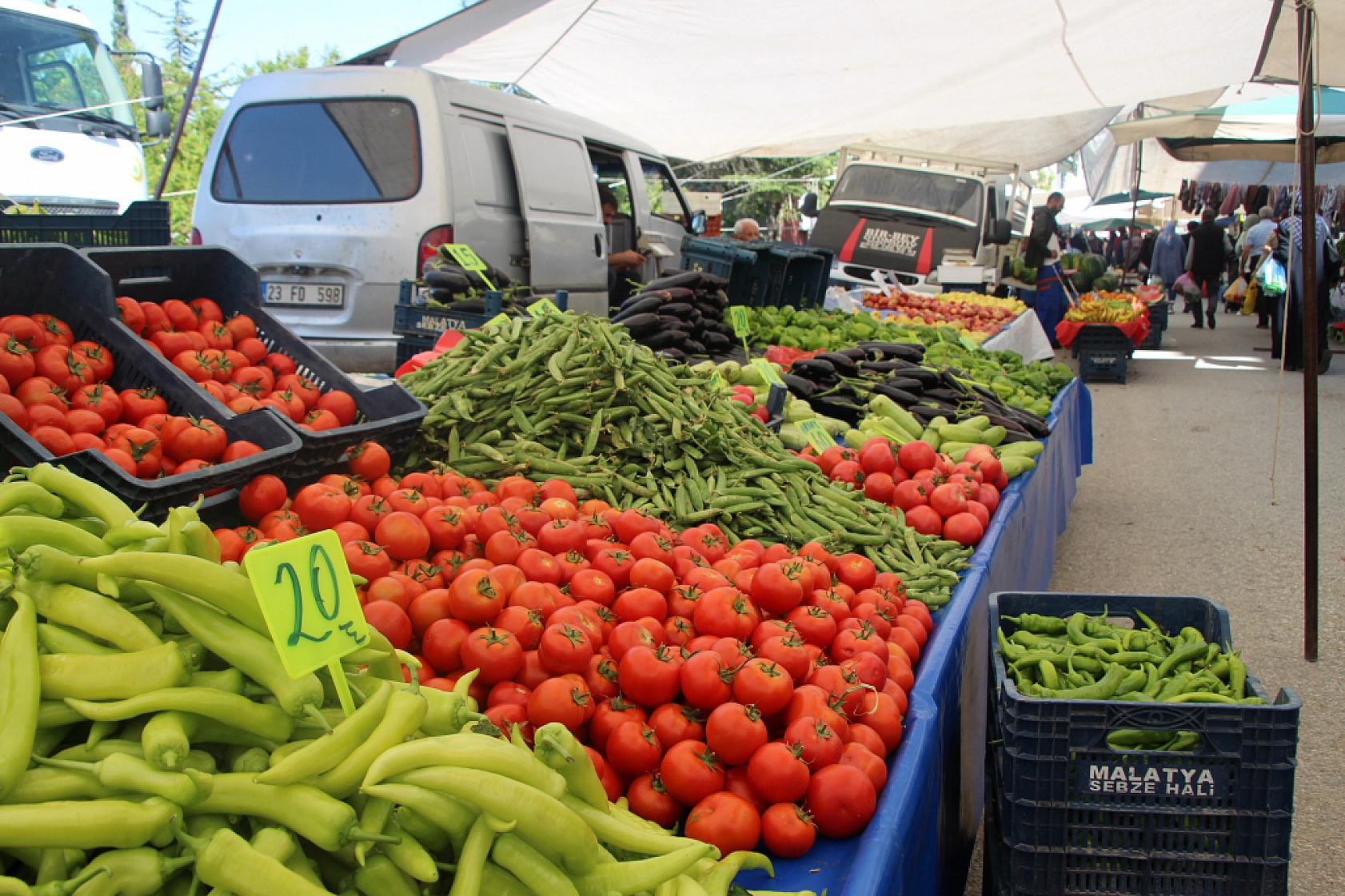 Malatya'da pazar tezgahlarında fiyat tersine döndü: Domates 35 lira, erik 200 lira!