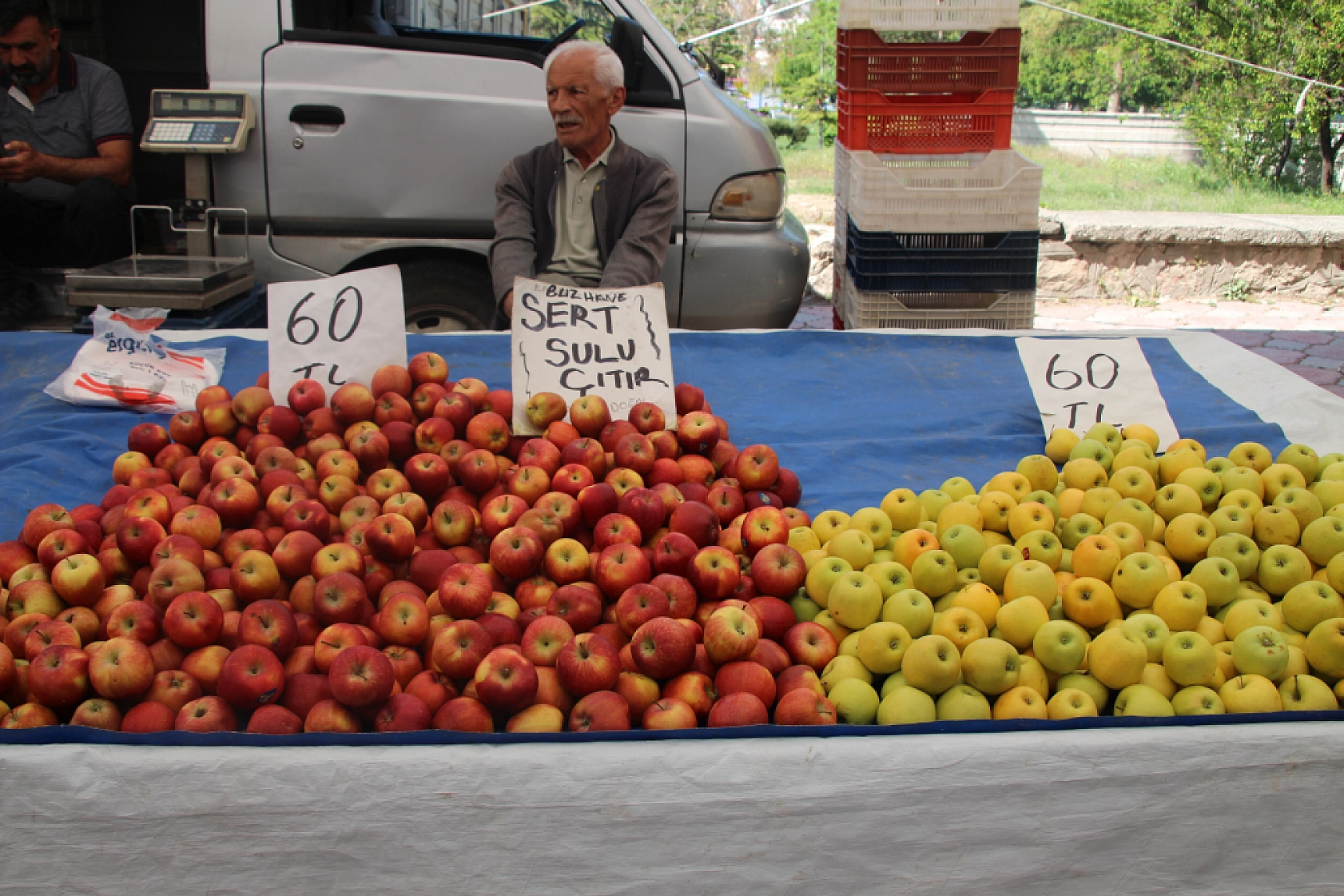 Malatya'da pazar tezgahlarında fiyat tersine döndü: Domates 35 lira, erik 200 lira!