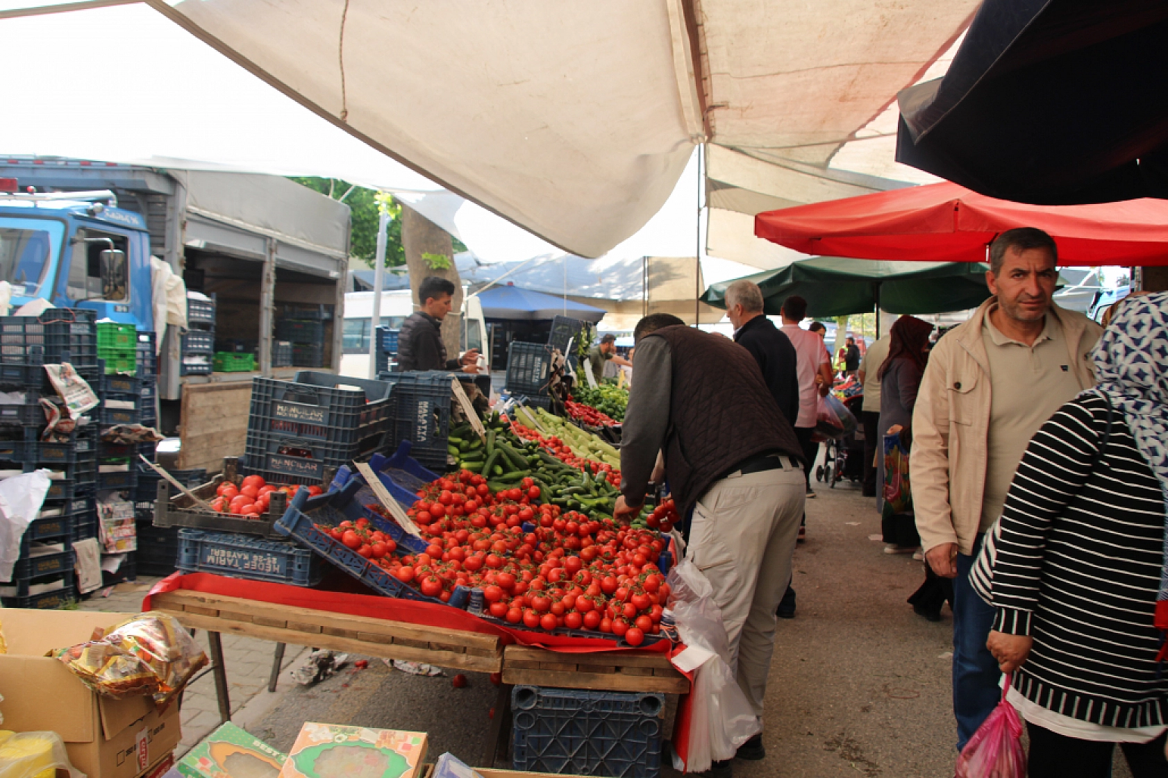 Malatya'da pazar tezgahlarında fiyat tersine döndü: Domates 35 lira, erik 200 lira!