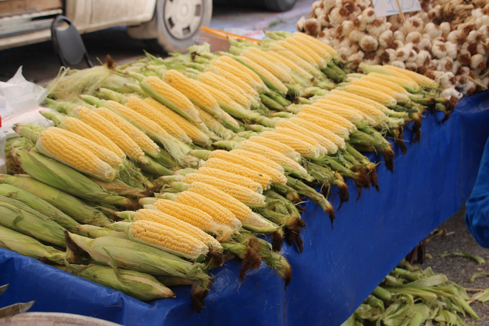 Malatya'da pazar tezgahlarında fiyat tersine döndü: Domates 35 lira, erik 200 lira!