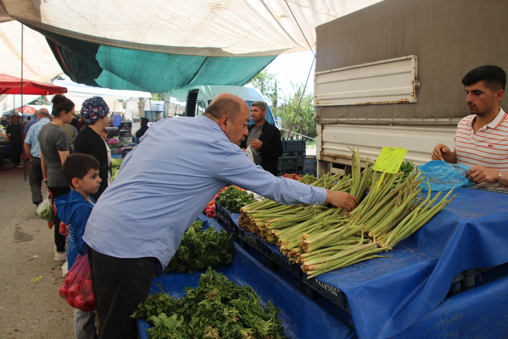 Malatya'da pazar tezgahlarında fiyat tersine döndü: Domates 35 lira, erik 200 lira!