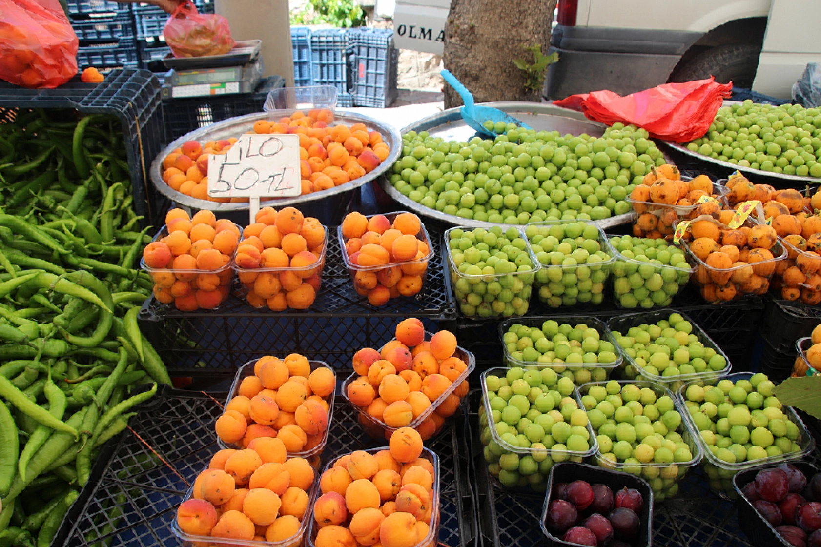 Malatya'da pazar tezgahlarında fiyat tersine döndü: Domates 35 lira, erik 200 lira!