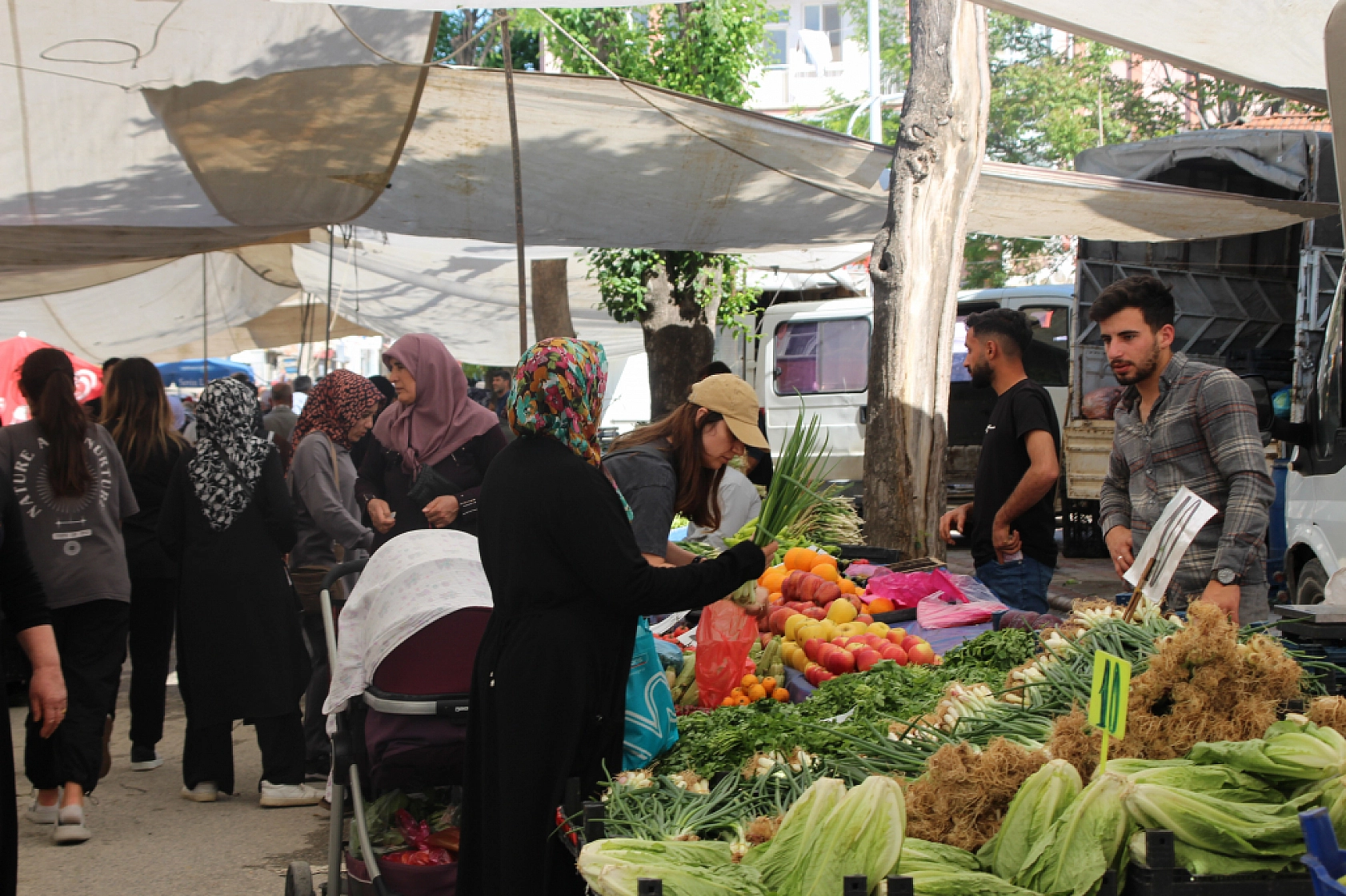 Malatya'da pazar tezgahlarında fiyat tersine döndü: Domates 35 lira, erik 200 lira!