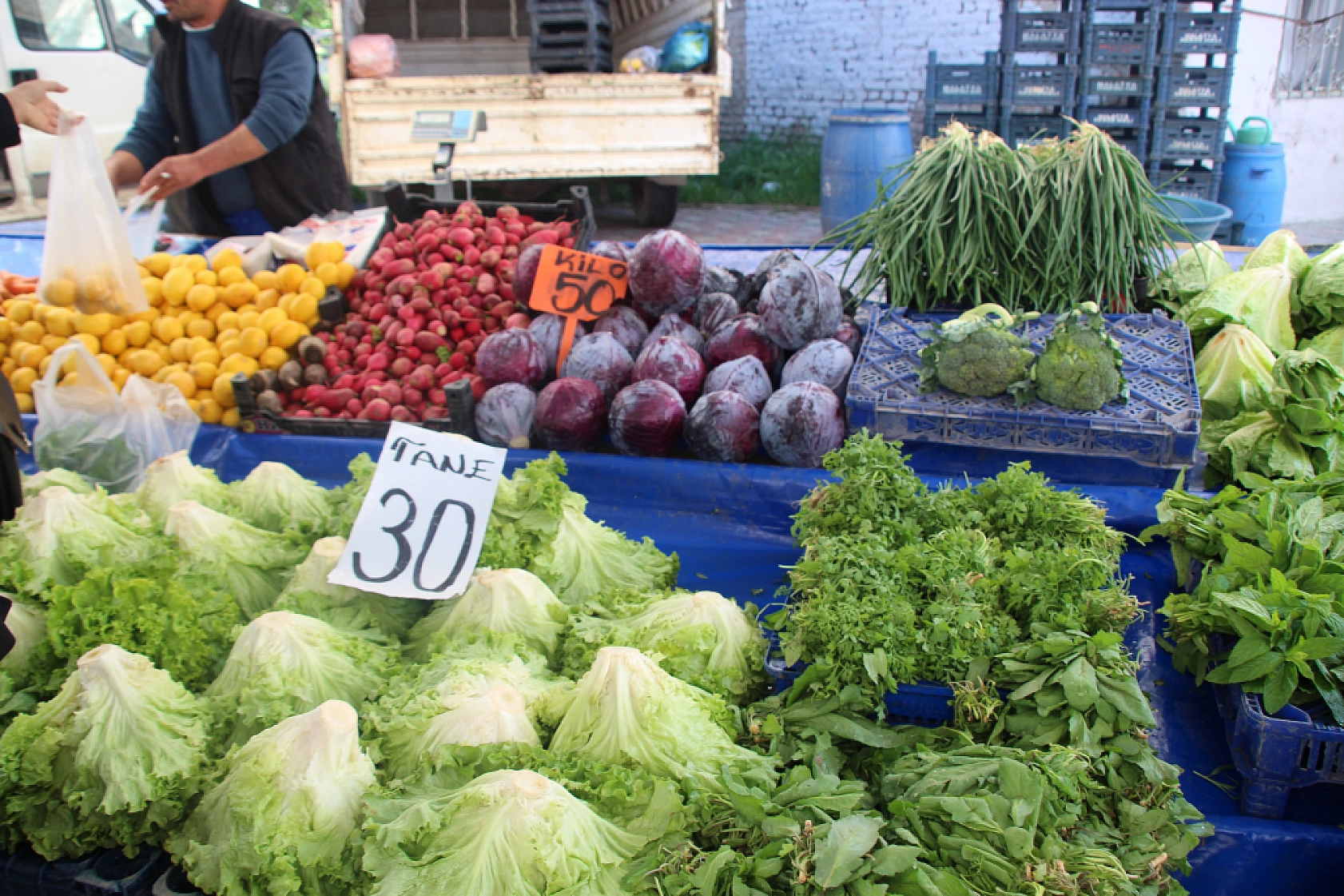 Malatya'da pazar tezgahlarında fiyat tersine döndü: Domates 35 lira, erik 200 lira!