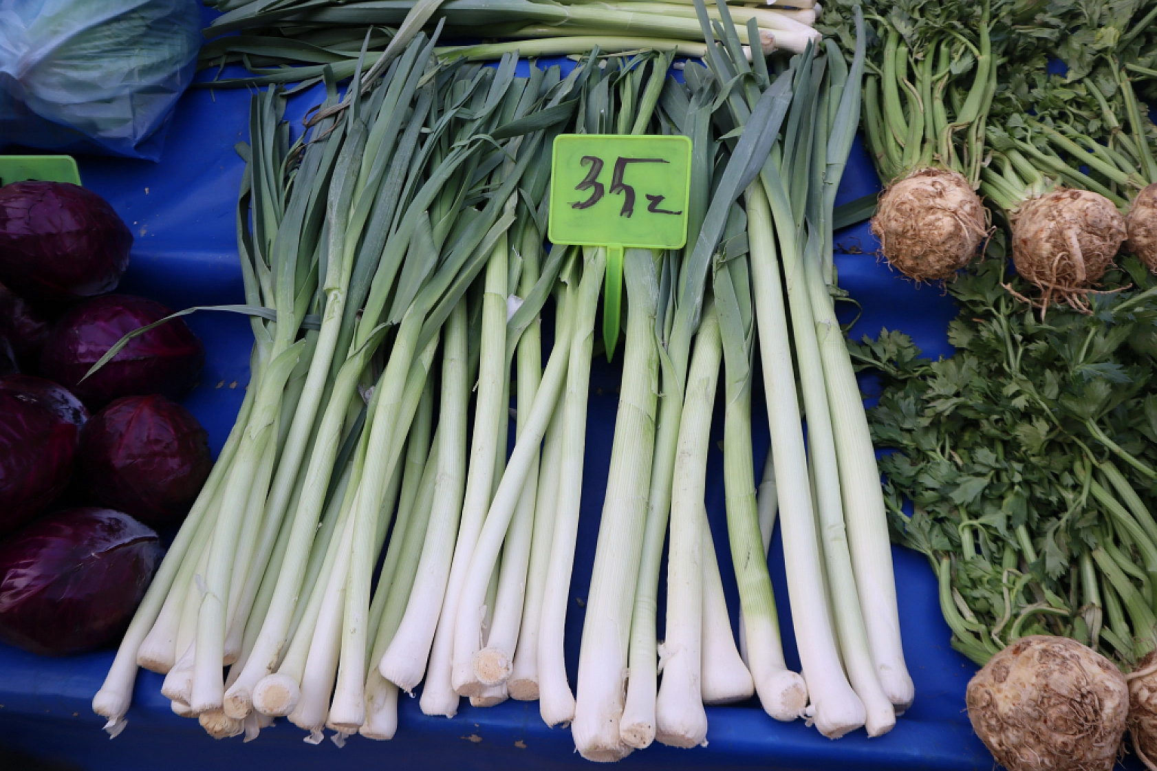 Asgari ücret cebe girmeden eridi: Malatyalılar bakmakla yetiniyor!