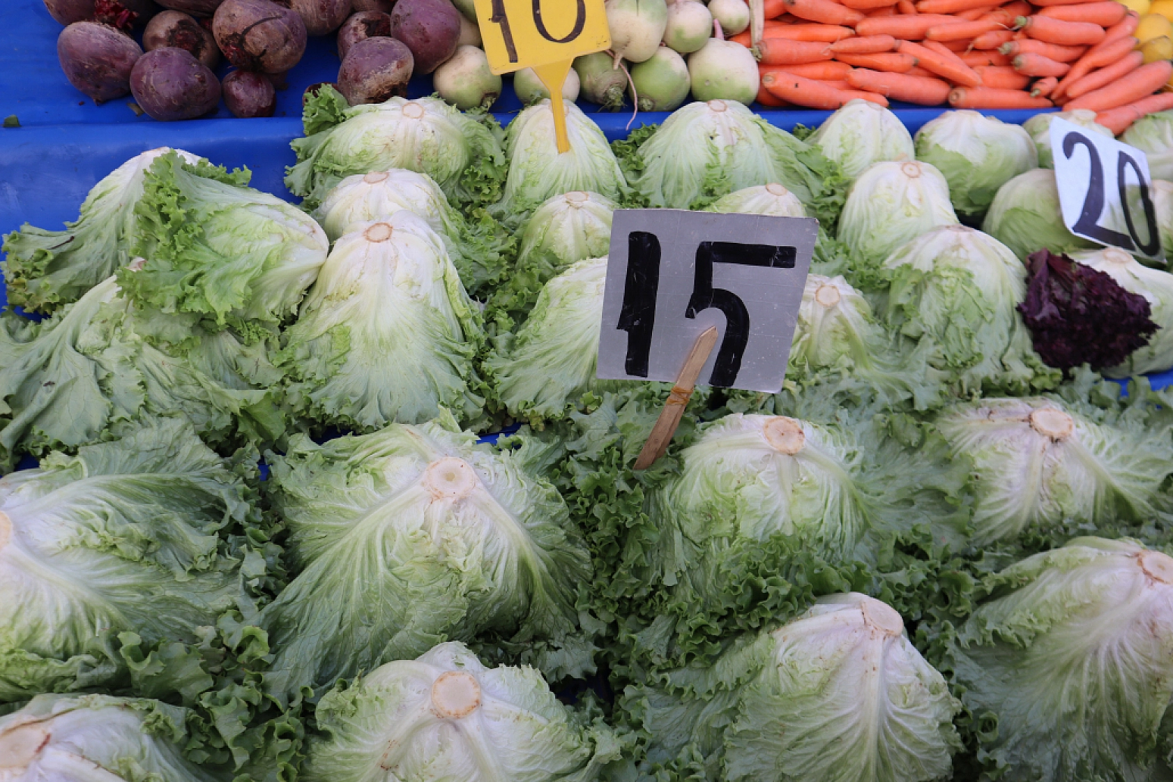 Asgari ücret cebe girmeden eridi: Malatyalılar bakmakla yetiniyor!