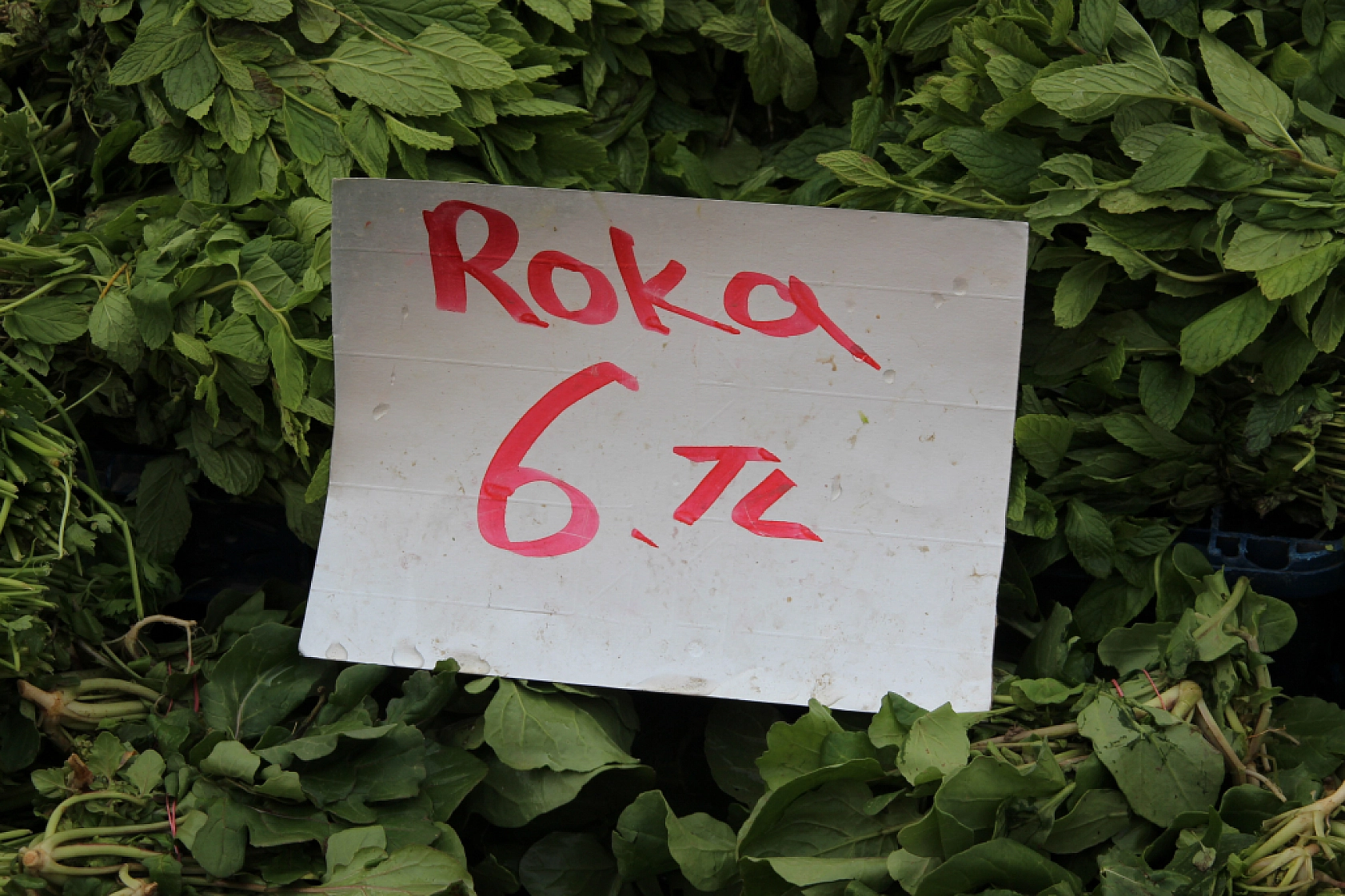 Malatya'da pazarın ateşi düşüyor! İşte fiyatlar...