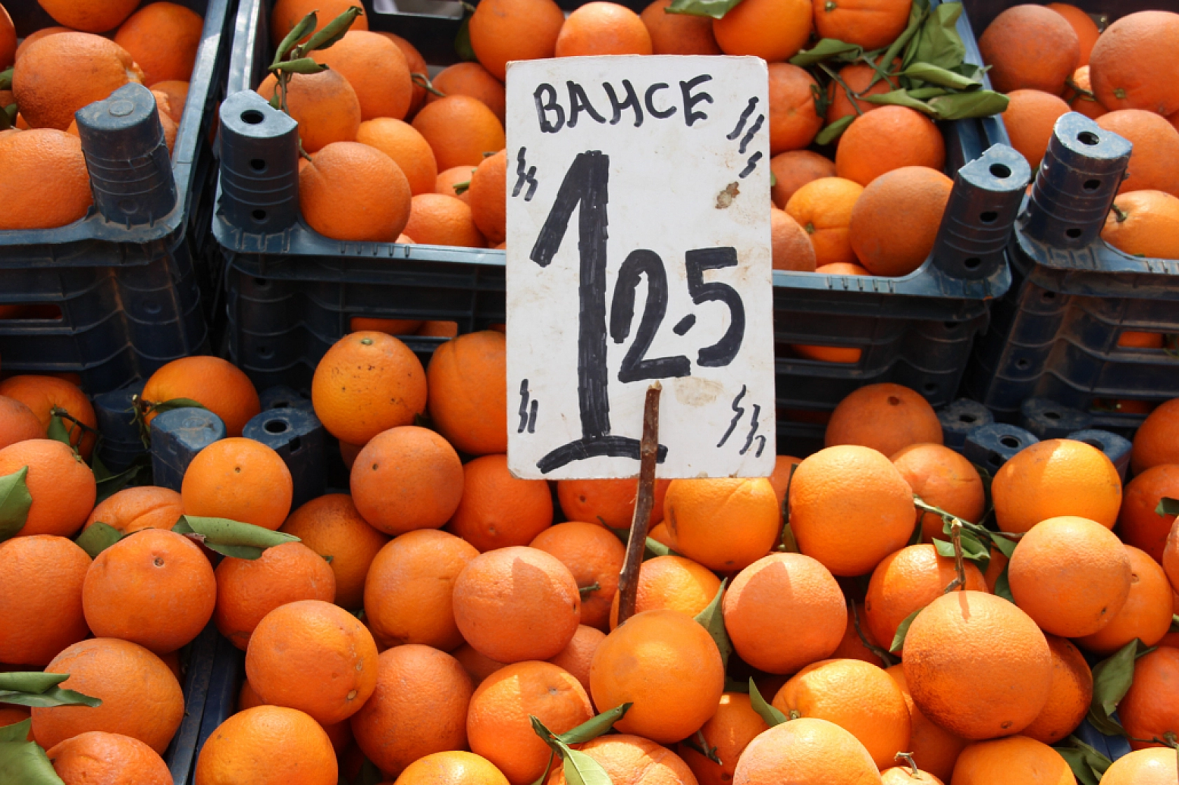 Malatya'da pazarın ateşi düşüyor! İşte fiyatlar...