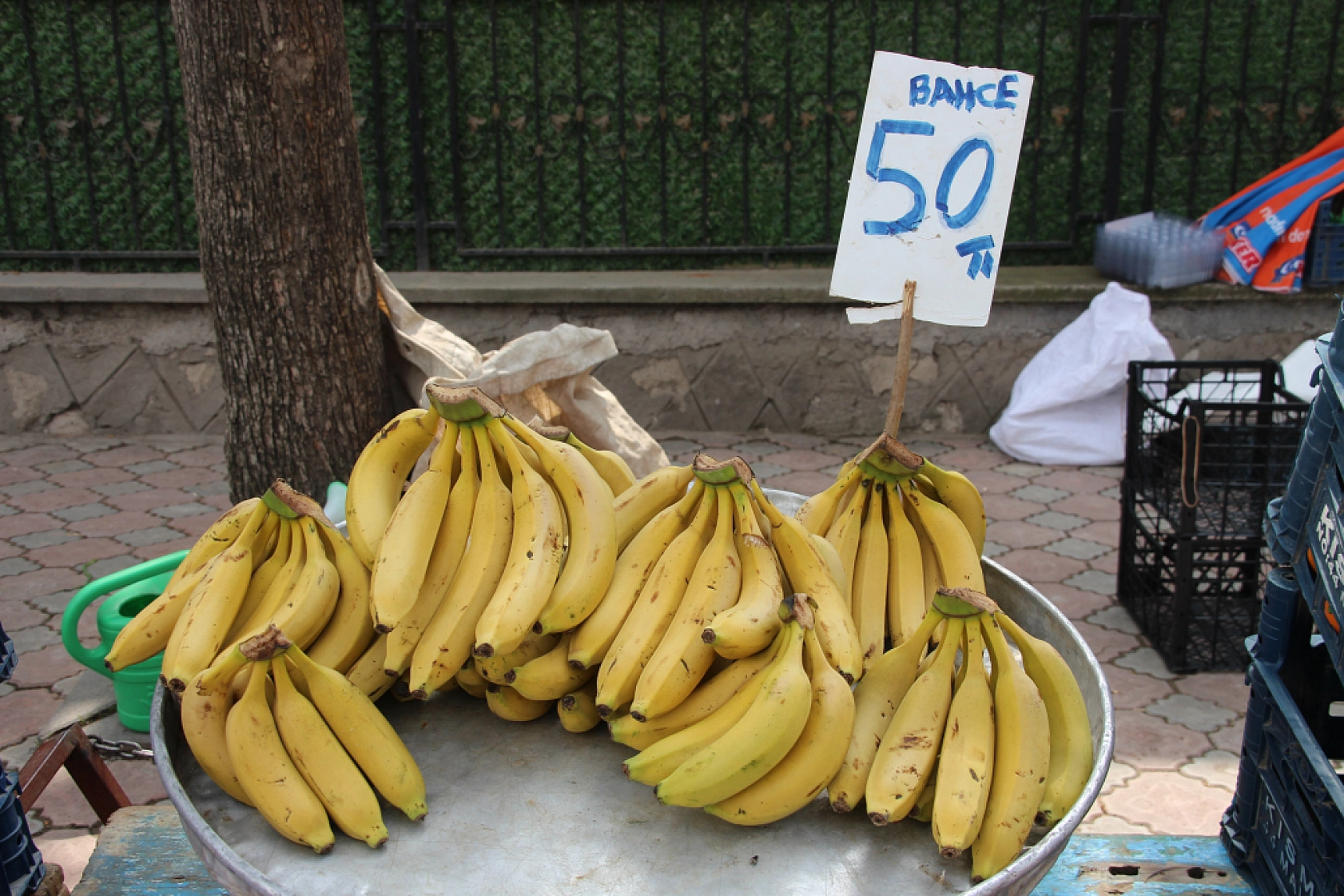 Malatya'da pazarın ateşi düşüyor! İşte fiyatlar...