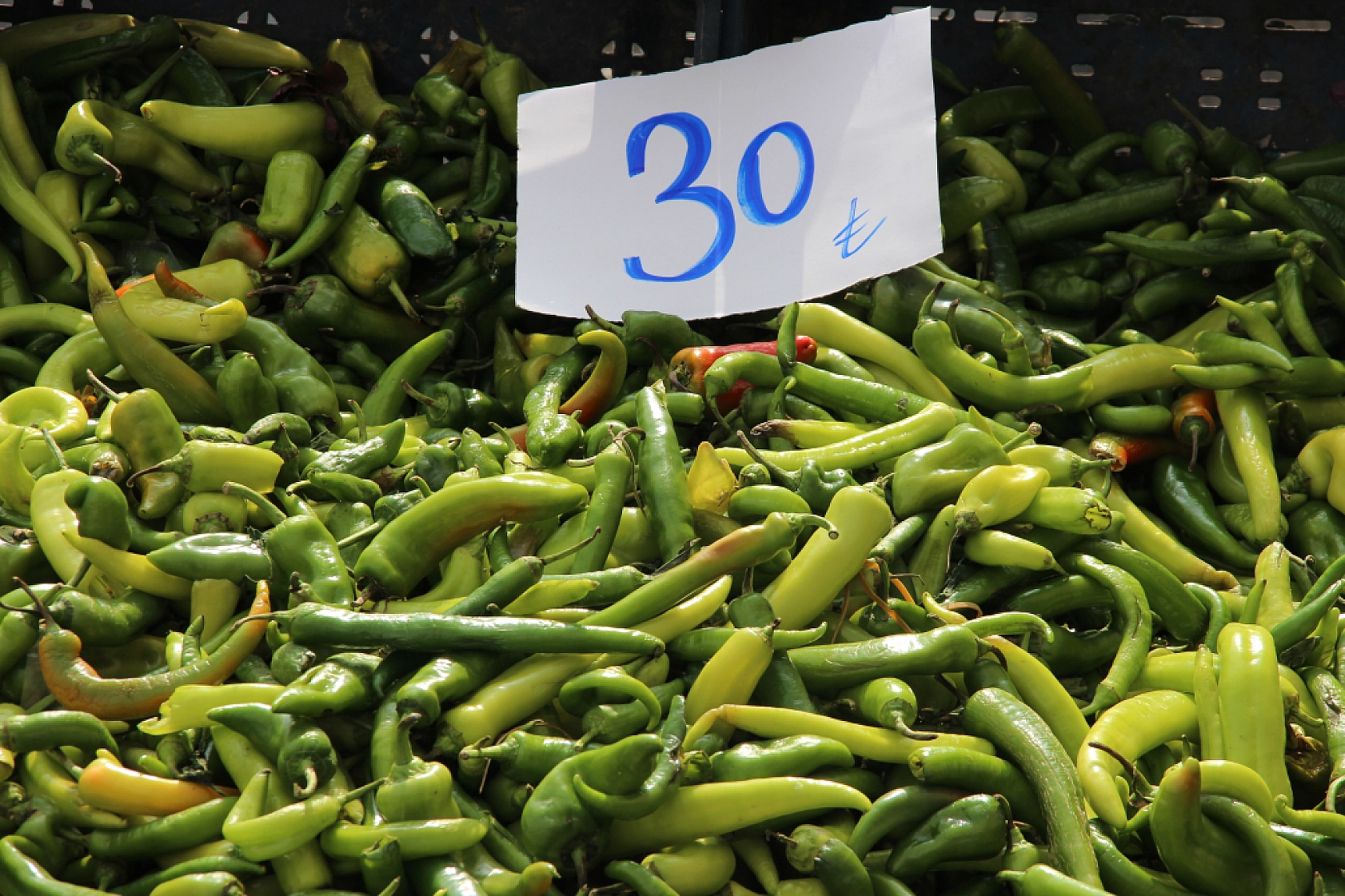 Malatya'da pazarın ateşi düşüyor! İşte fiyatlar...