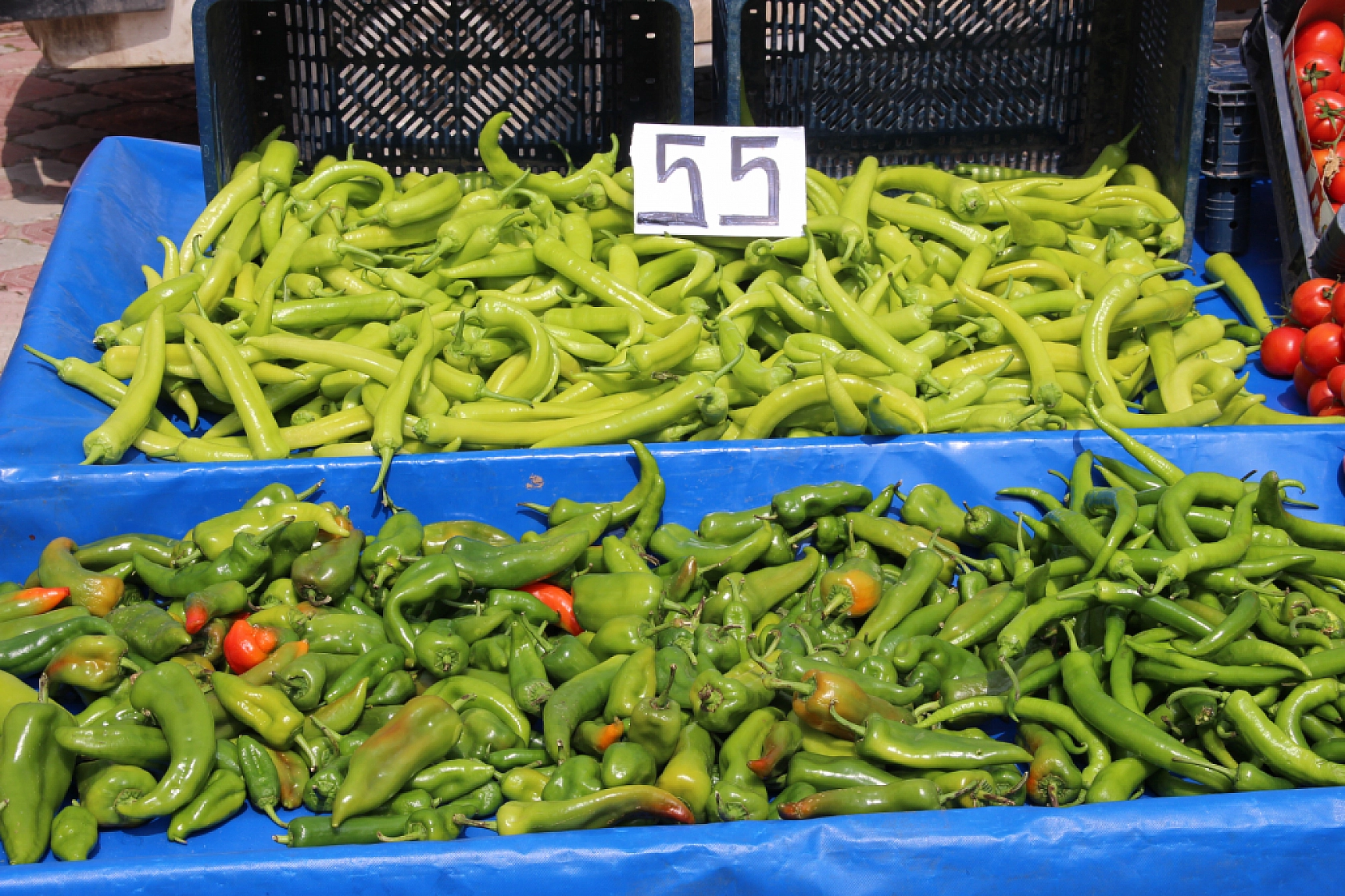 Malatya'da pazarın ateşi düşüyor! İşte fiyatlar...