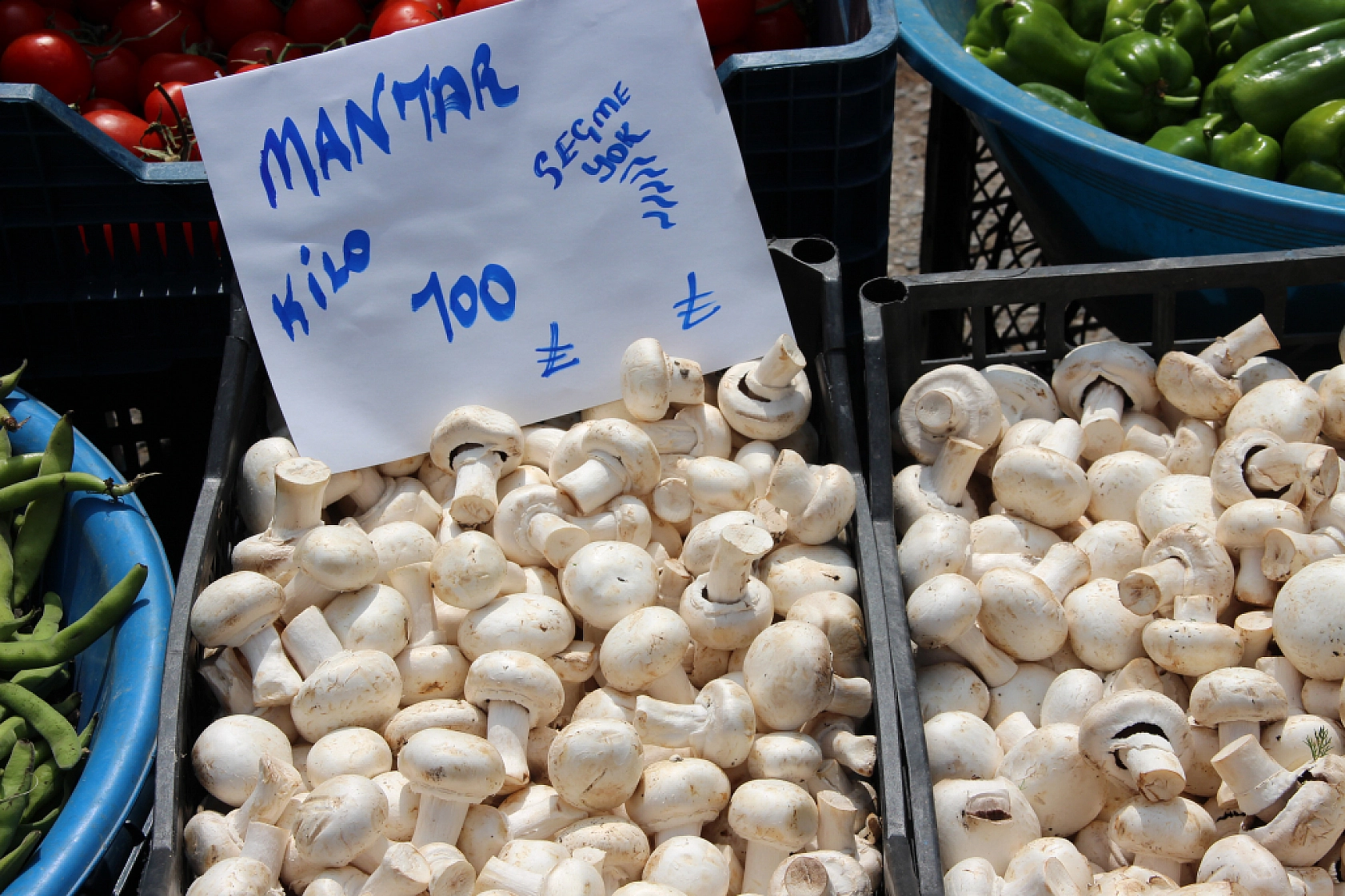 Malatya'da pazarın ateşi düşüyor! İşte fiyatlar...