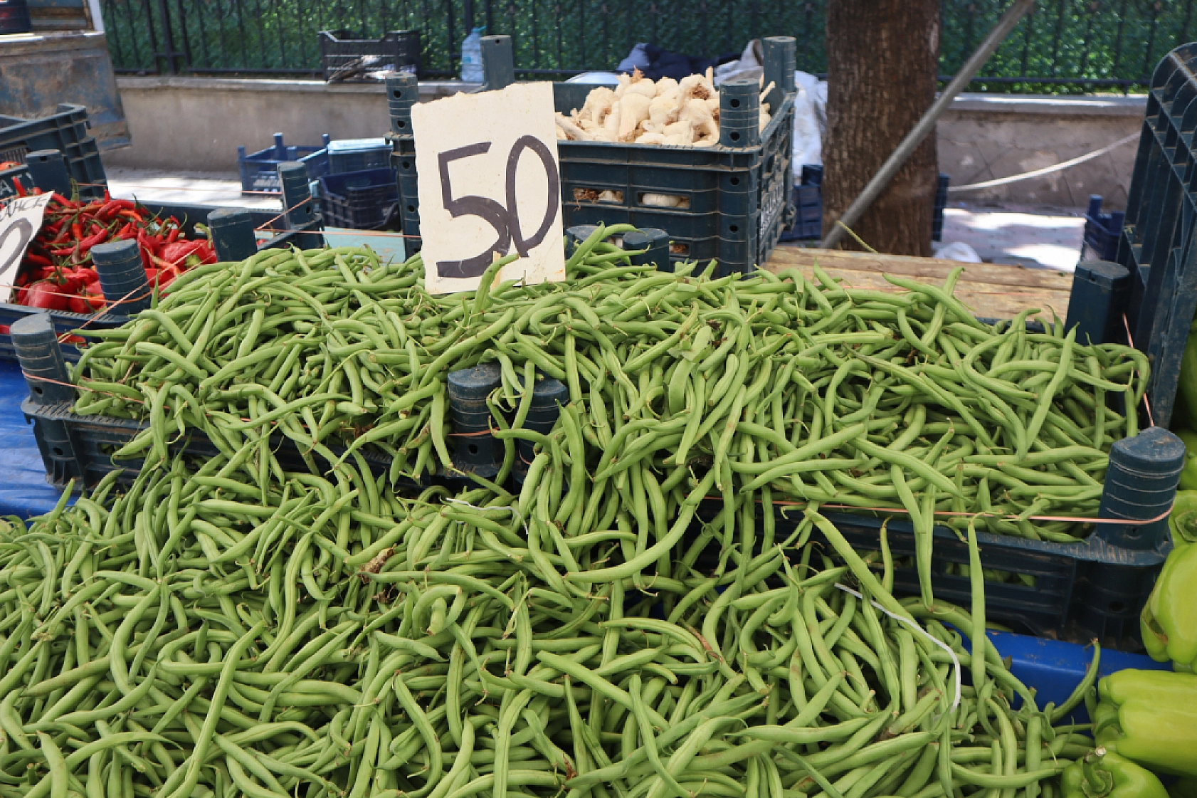 Pazarda fiyat dengesi değişti: Meyveye el değmiyor! İşte güncel pazar fiyatları....