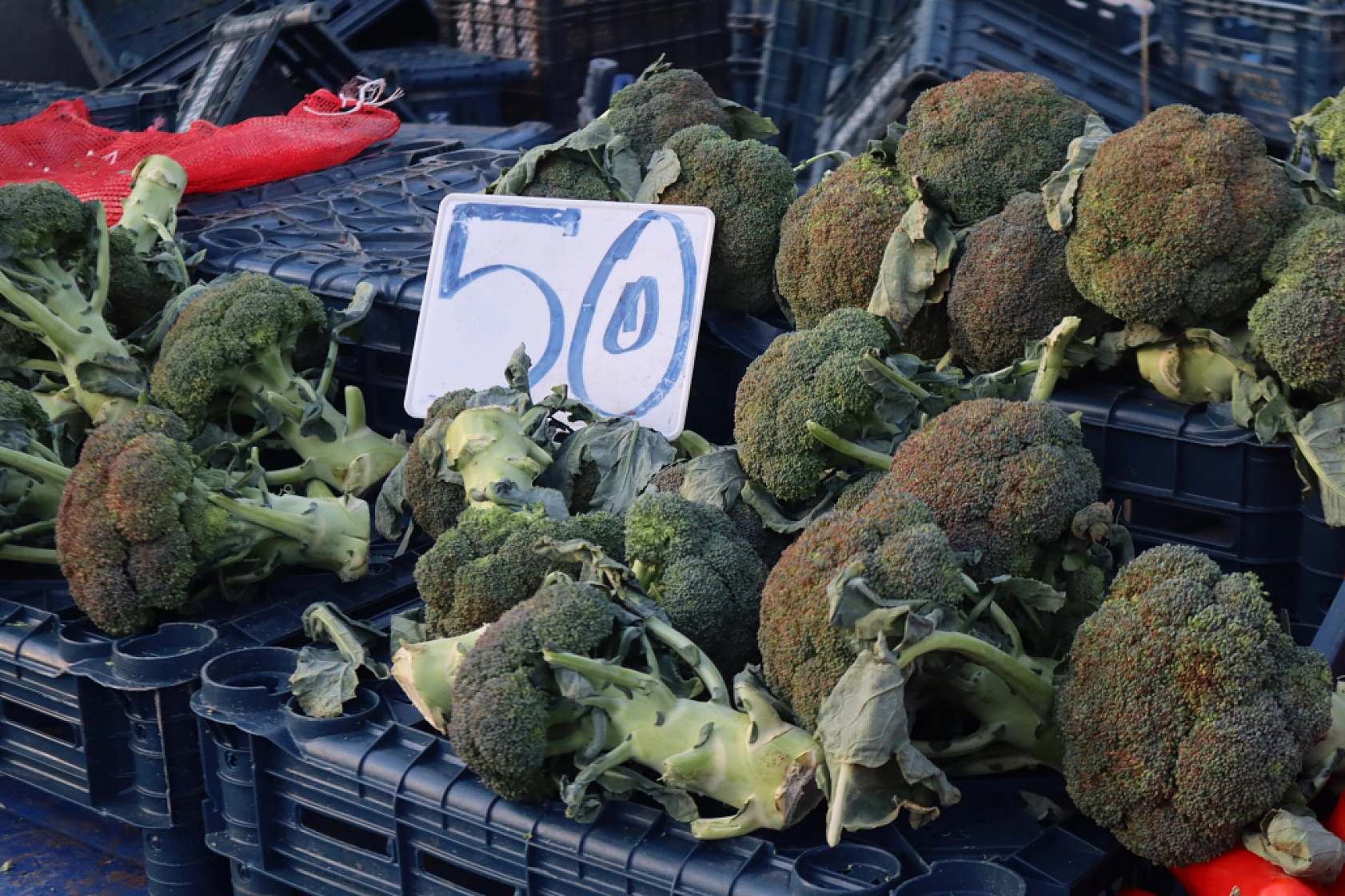 Marketlere Rağmen Malatyalılar Pazarı Tercih Ediyor! İşte Sebze Meyve Fiyatları…