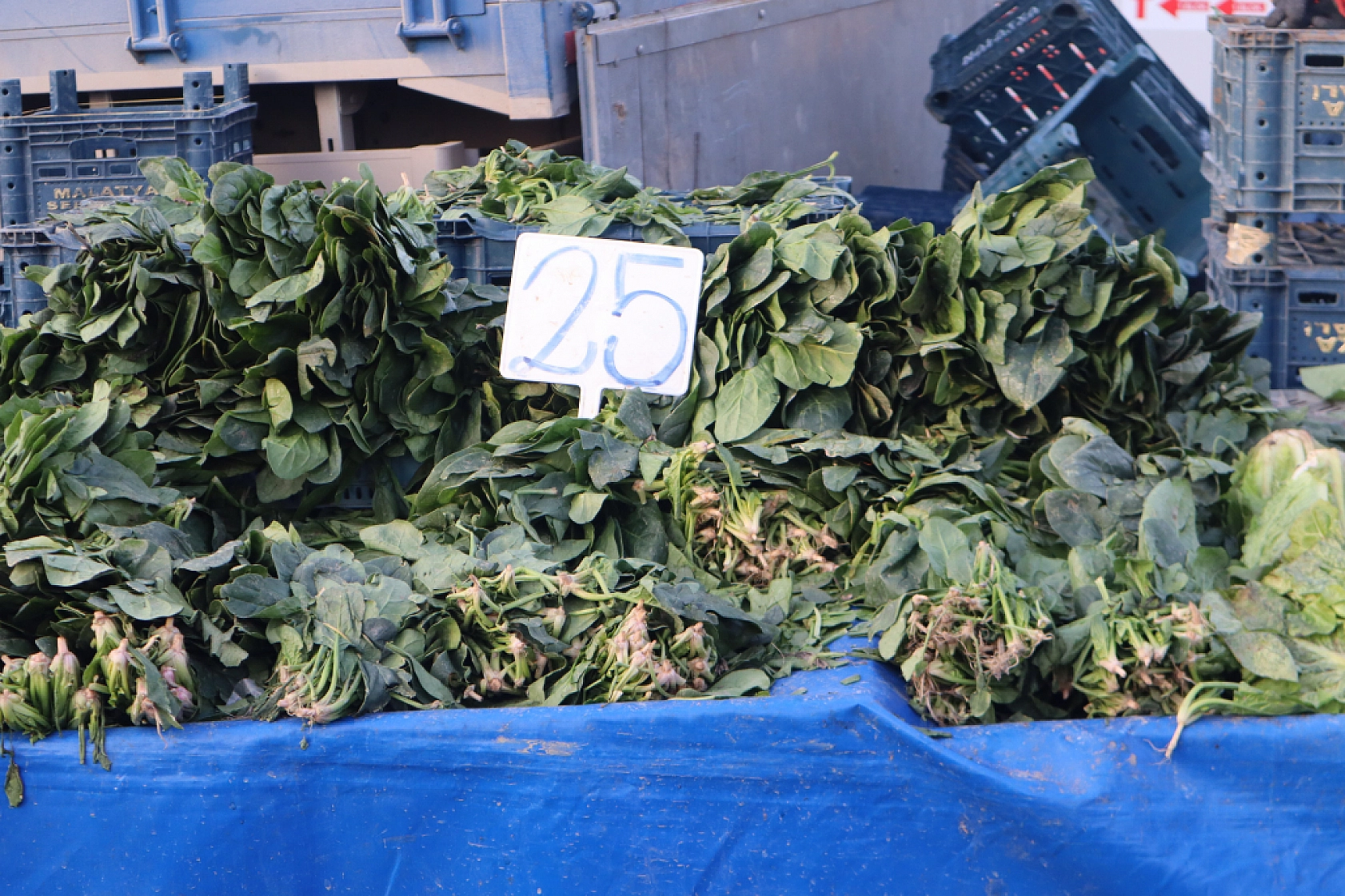 Marketlere Rağmen Malatyalılar Pazarı Tercih Ediyor! İşte Sebze Meyve Fiyatları…