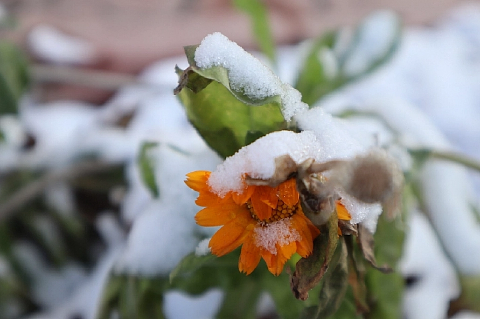 Meteoroloji Uyardı! Malatya İçin Gizli Buzlanma ve Sis Uyarısı Yapıldı…
