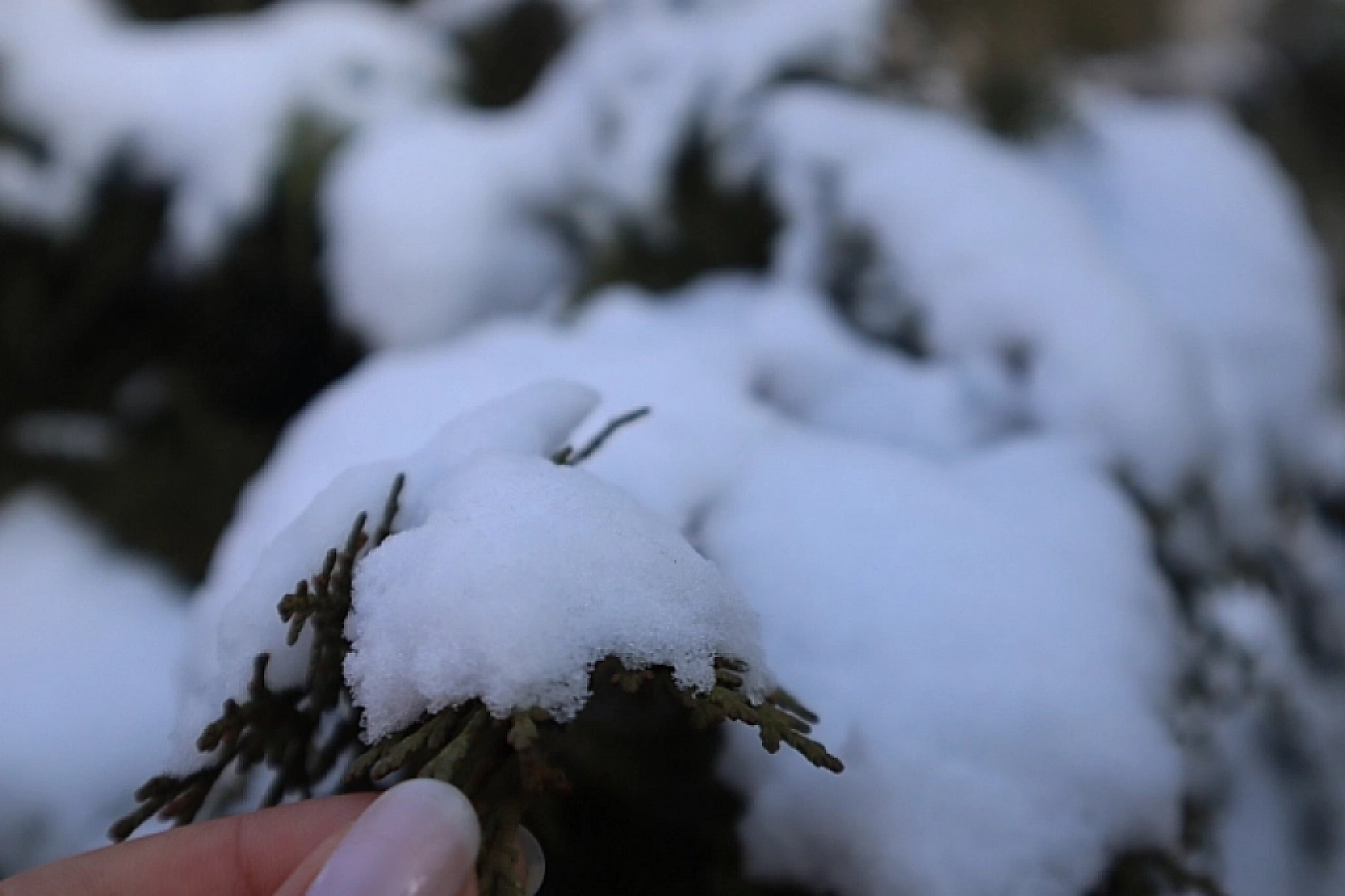 Meteoroloji Saat Verdi: Malatya'ya Kar Geliyor...