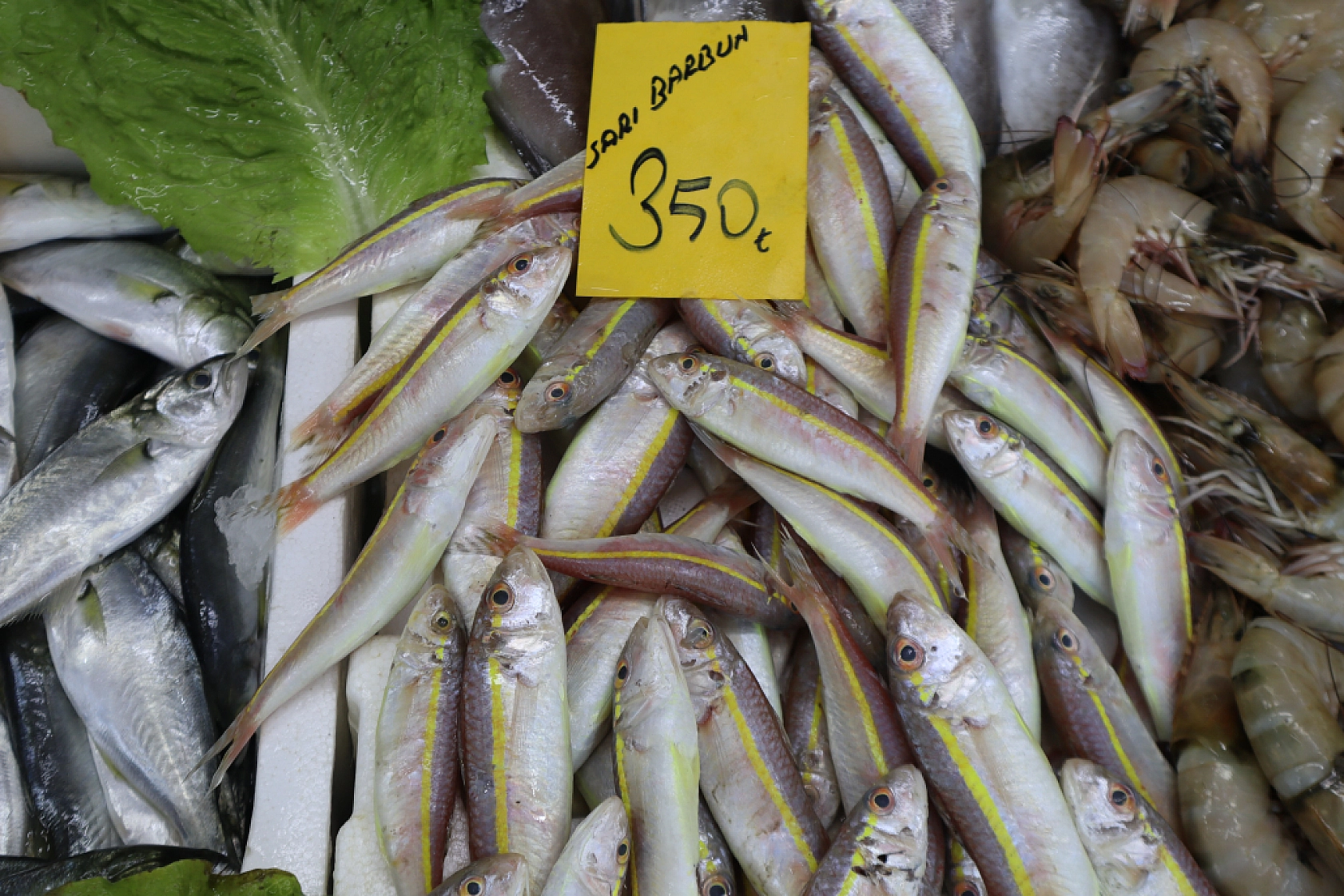 Malatya'da Balık Fiyatları Şaşırtıyor: İşte Güncel Balık Fiyatları!