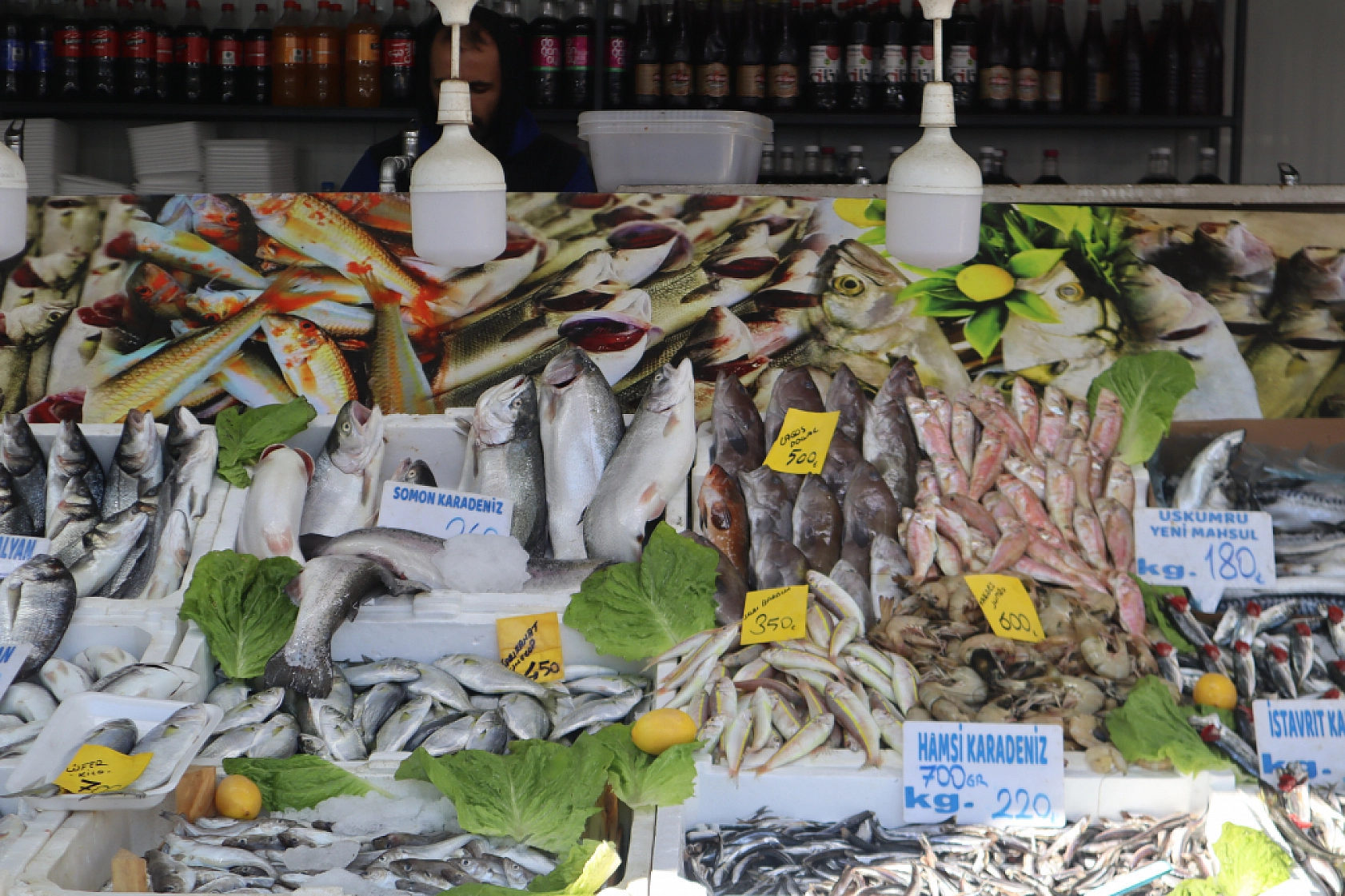 Malatya'da Balık Fiyatları Şaşırtıyor: İşte Güncel Balık Fiyatları!
