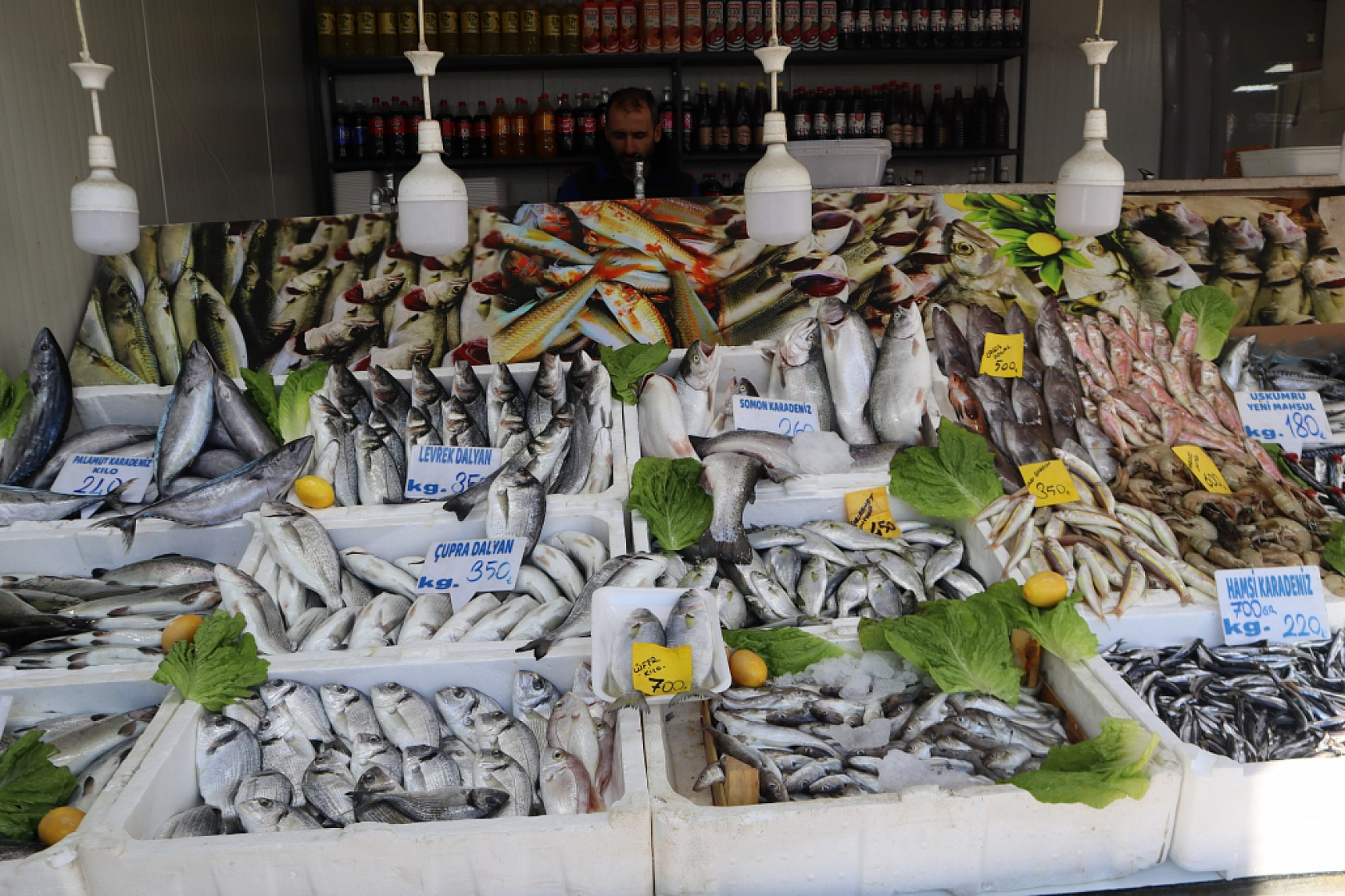 Malatya'da Balık Fiyatları Şaşırtıyor: İşte Güncel Balık Fiyatları!