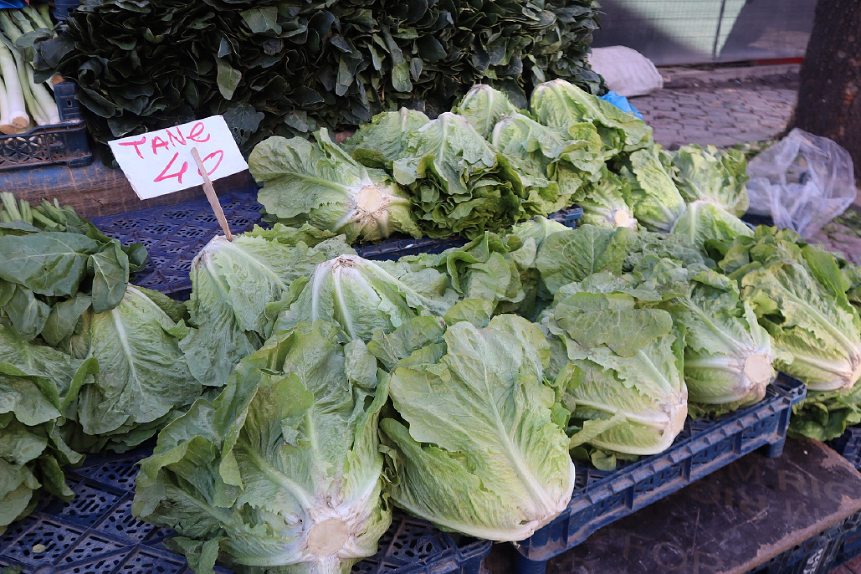 Sebze Fiyatları Uçtu: Pazarlar Ateş Pahası! İşte Güncel Meyve Sebze Fiyatları...