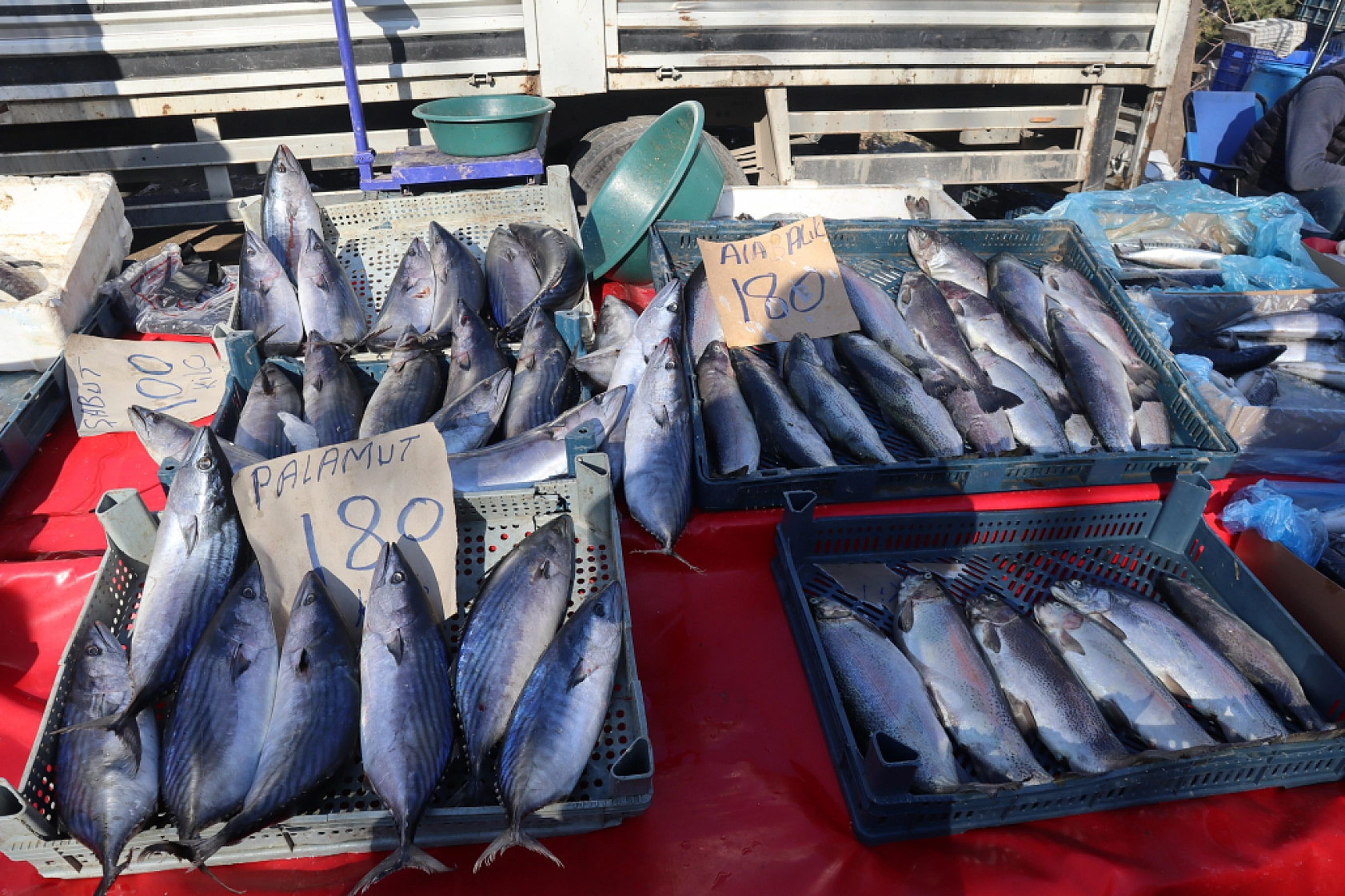 Sebze Fiyatları Uçtu: Pazarlar Ateş Pahası! İşte Güncel Meyve Sebze Fiyatları...