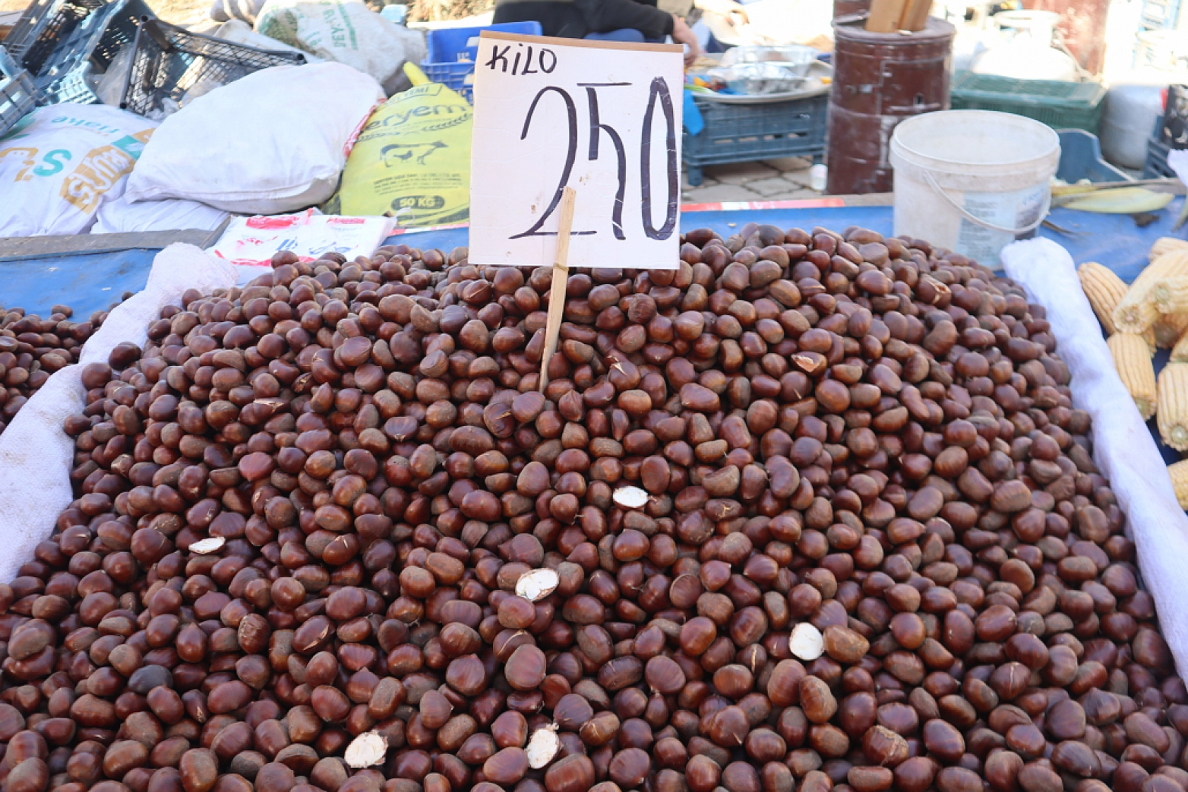 Sebze Fiyatları Uçtu: Pazarlar Ateş Pahası! İşte Güncel Meyve Sebze Fiyatları...