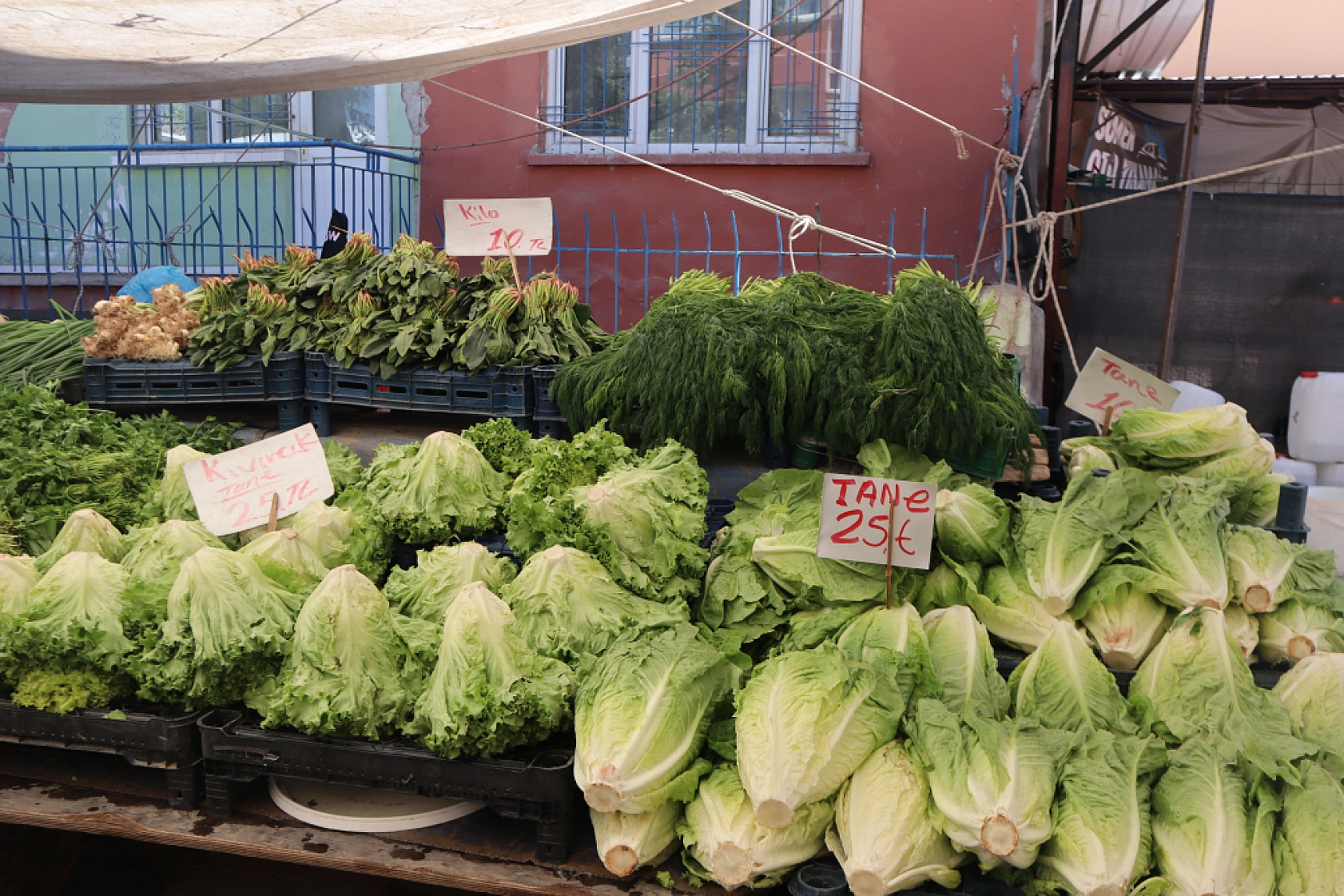Malatya'da bayram öncesi vatandaş semt pazarlarına akın etti! İşte güncel meyve sebze fiyatları...