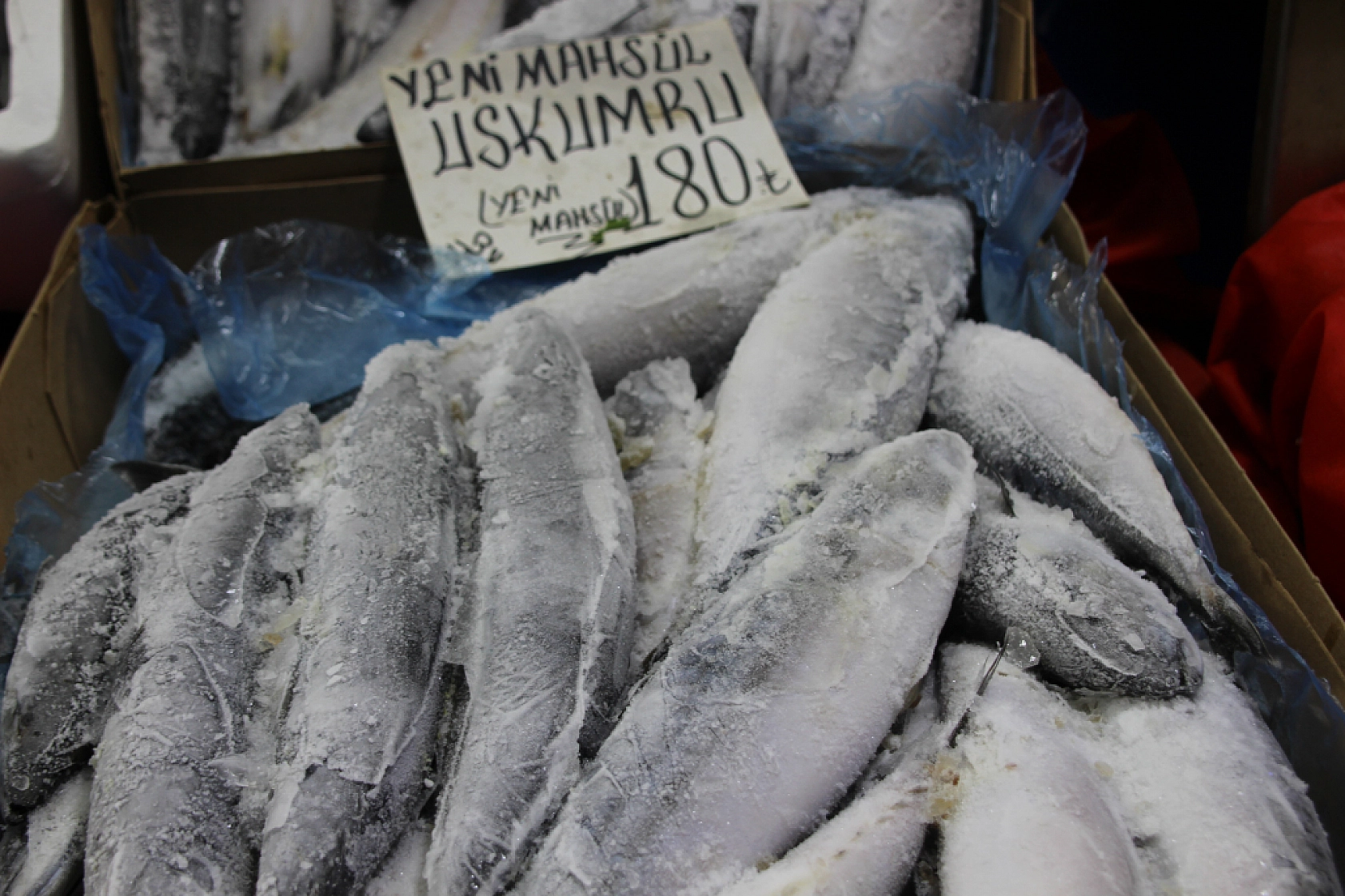 Ramazan'da Balık Fiyatları Sabit Kaldı: Vatandaşın Alım Gücü Yok…