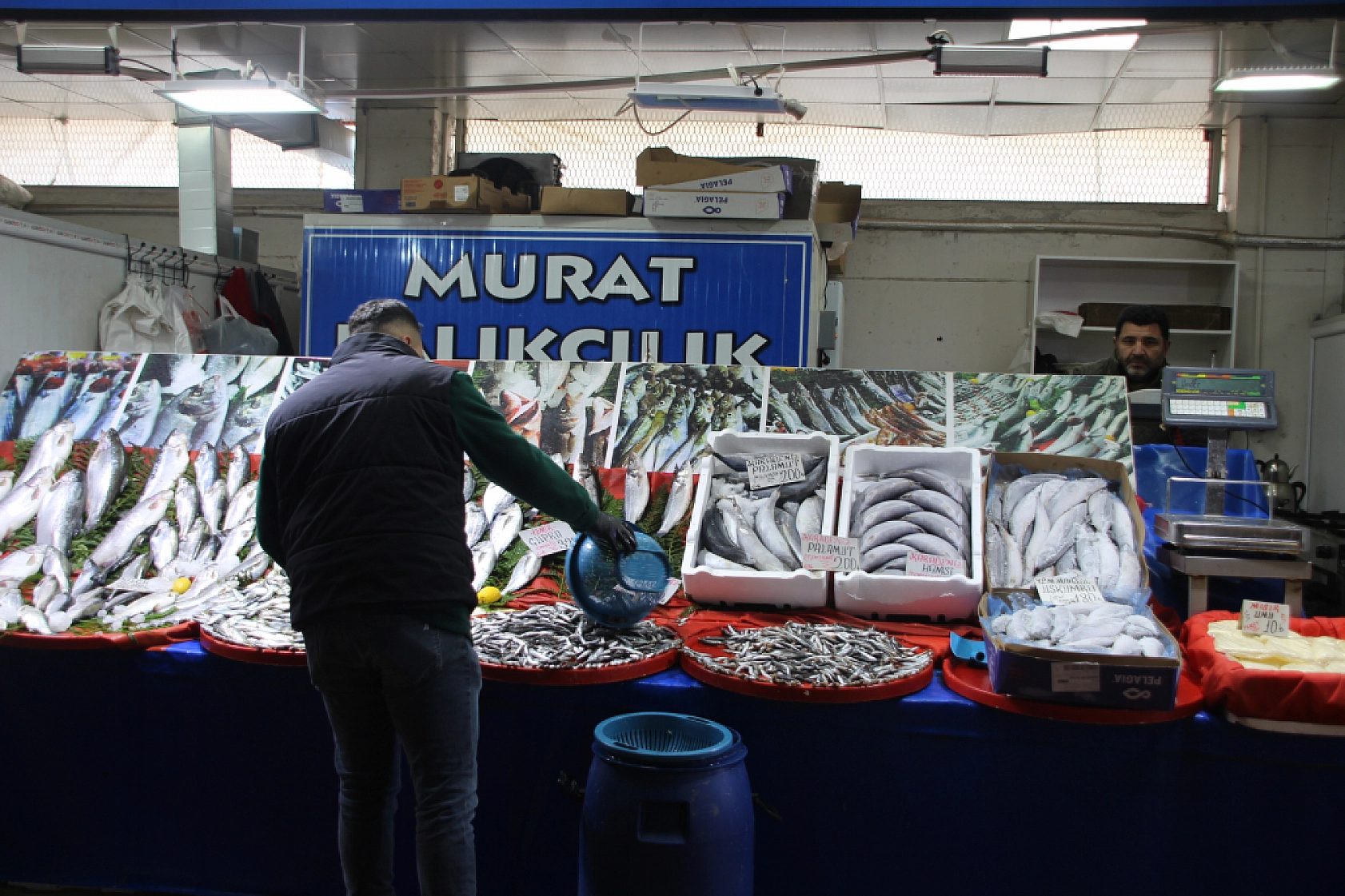 Ramazan'da Balık Fiyatları Sabit Kaldı: Vatandaşın Alım Gücü Yok…