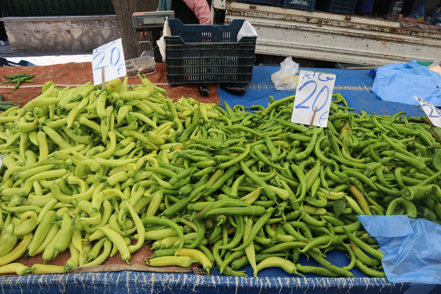 Malatya'da bayram öncesi vatandaş semt pazarlarına akın etti! İşte güncel meyve sebze fiyatları...