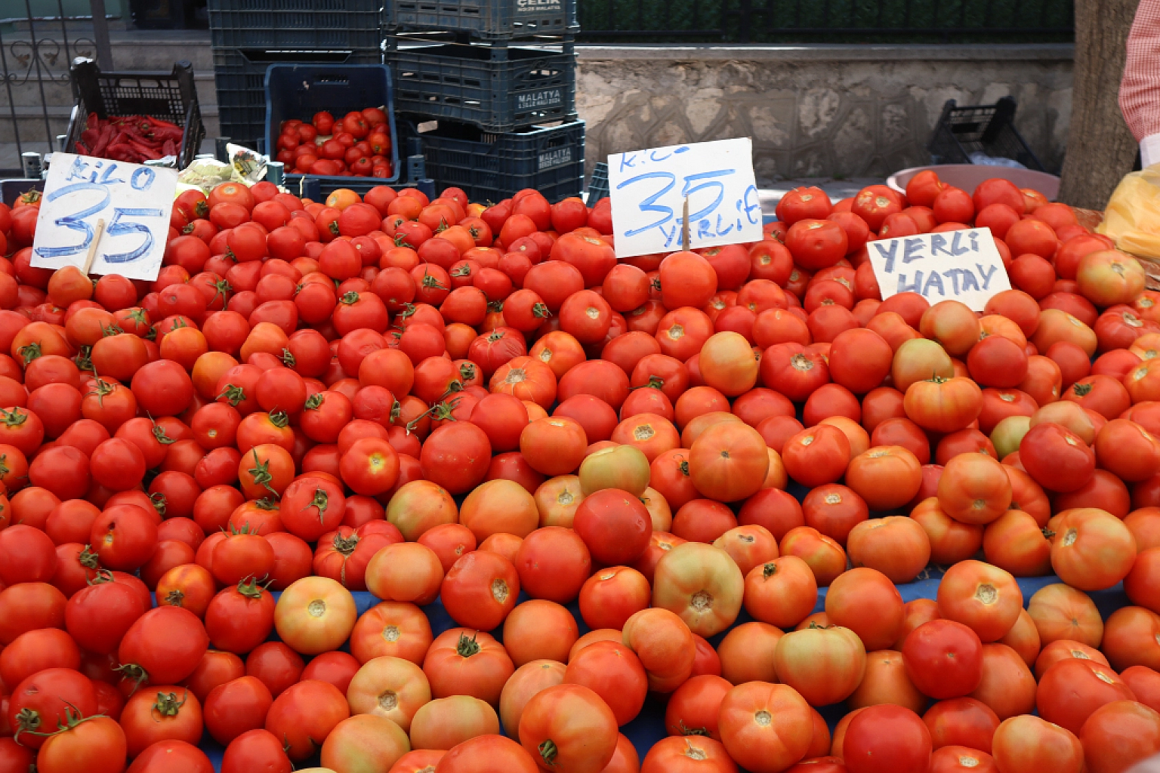 Malatya'da bayram öncesi vatandaş semt pazarlarına akın etti! İşte güncel meyve sebze fiyatları...