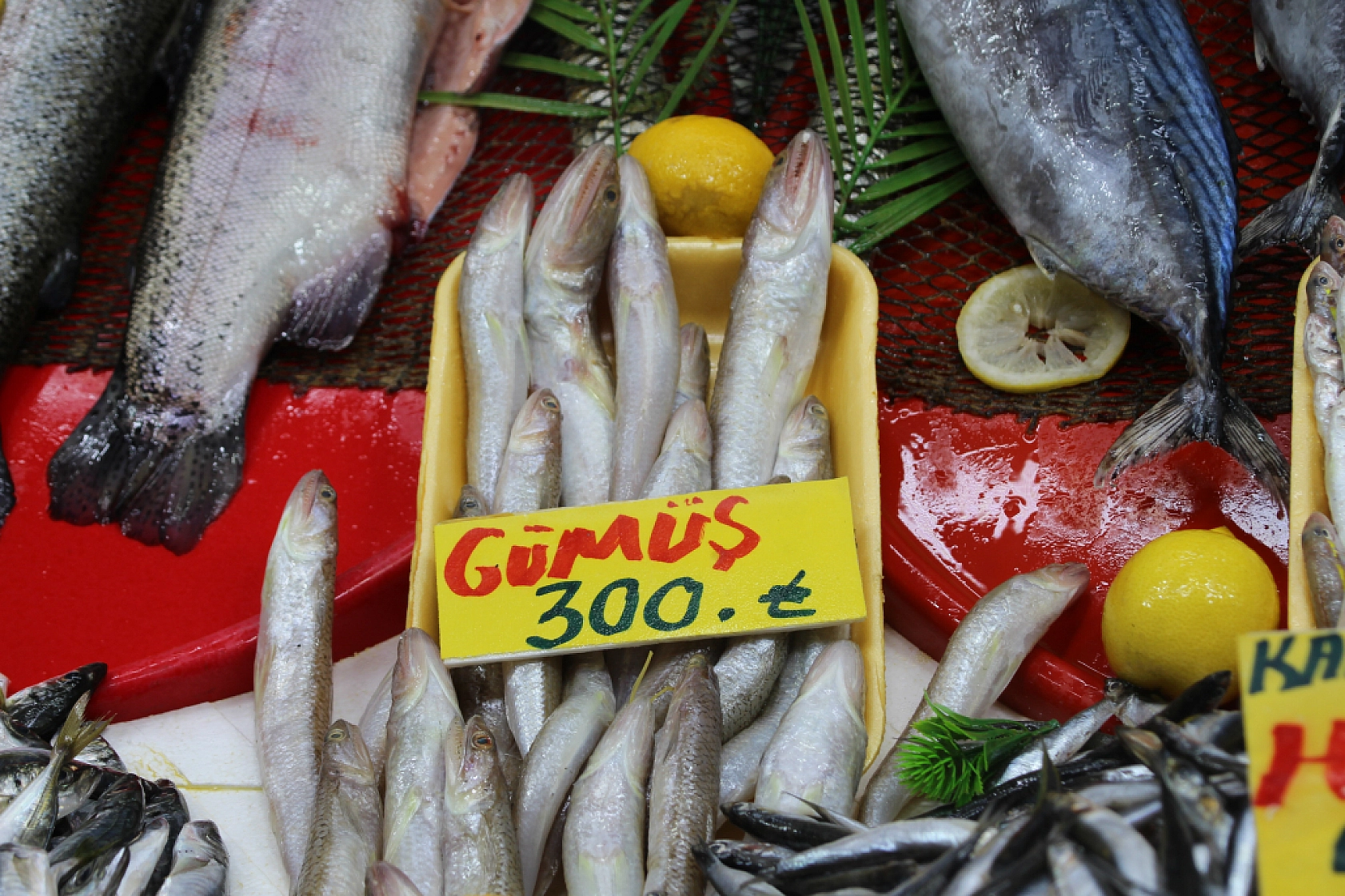 Ramazan'da Balık Fiyatları Sabit Kaldı: Vatandaşın Alım Gücü Yok…