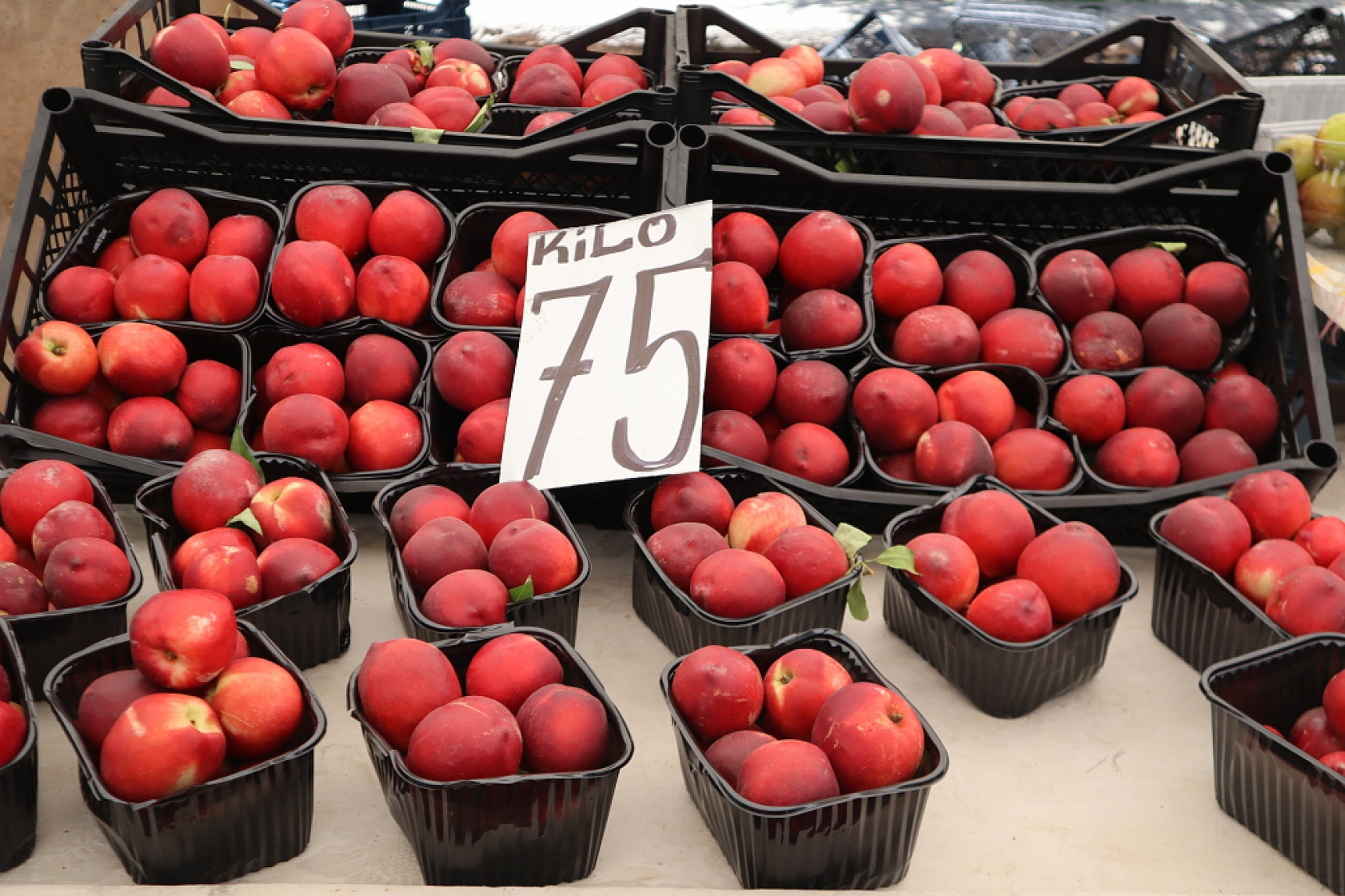 Malatya'da bayram öncesi vatandaş semt pazarlarına akın etti! İşte güncel meyve sebze fiyatları...