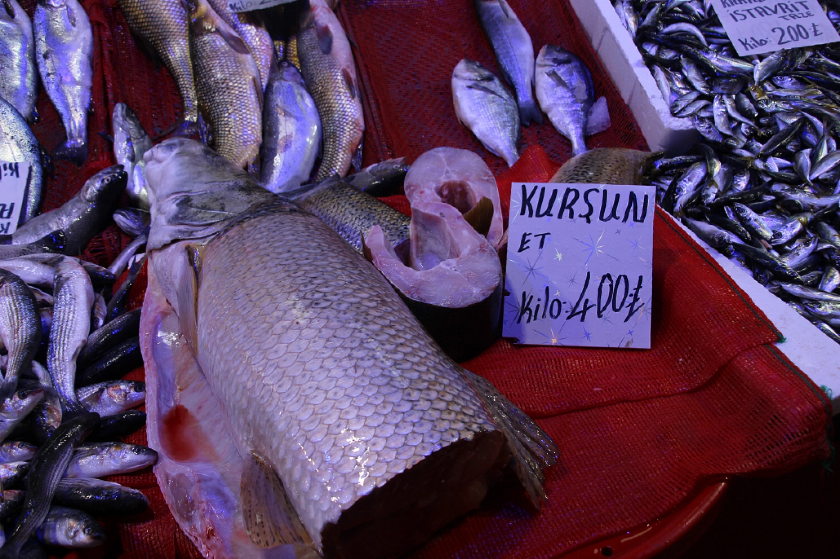 Ramazan'da Balık Fiyatları Sabit Kaldı: Vatandaşın Alım Gücü Yok…