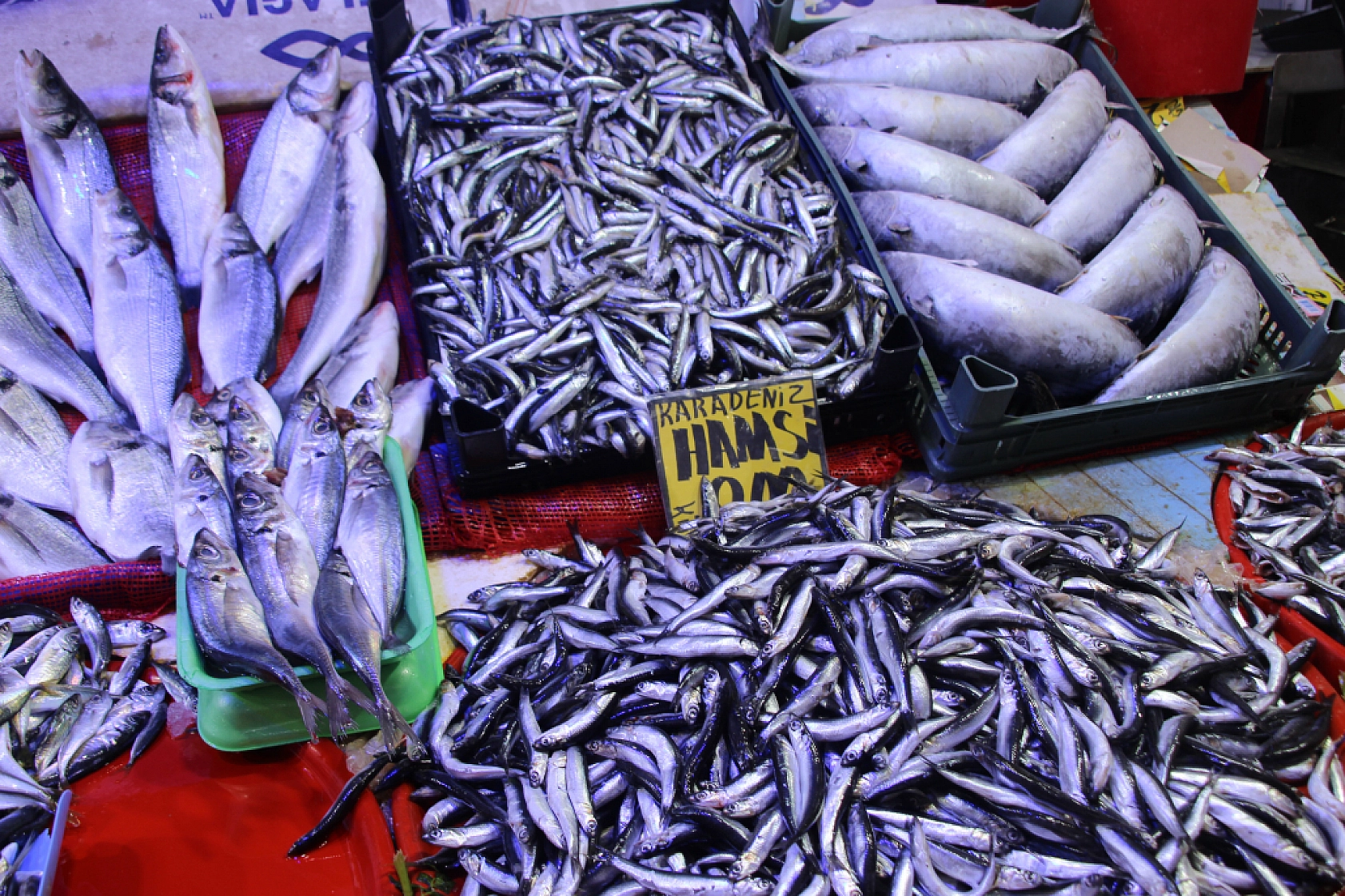 Ramazan'da Balık Fiyatları Sabit Kaldı: Vatandaşın Alım Gücü Yok…