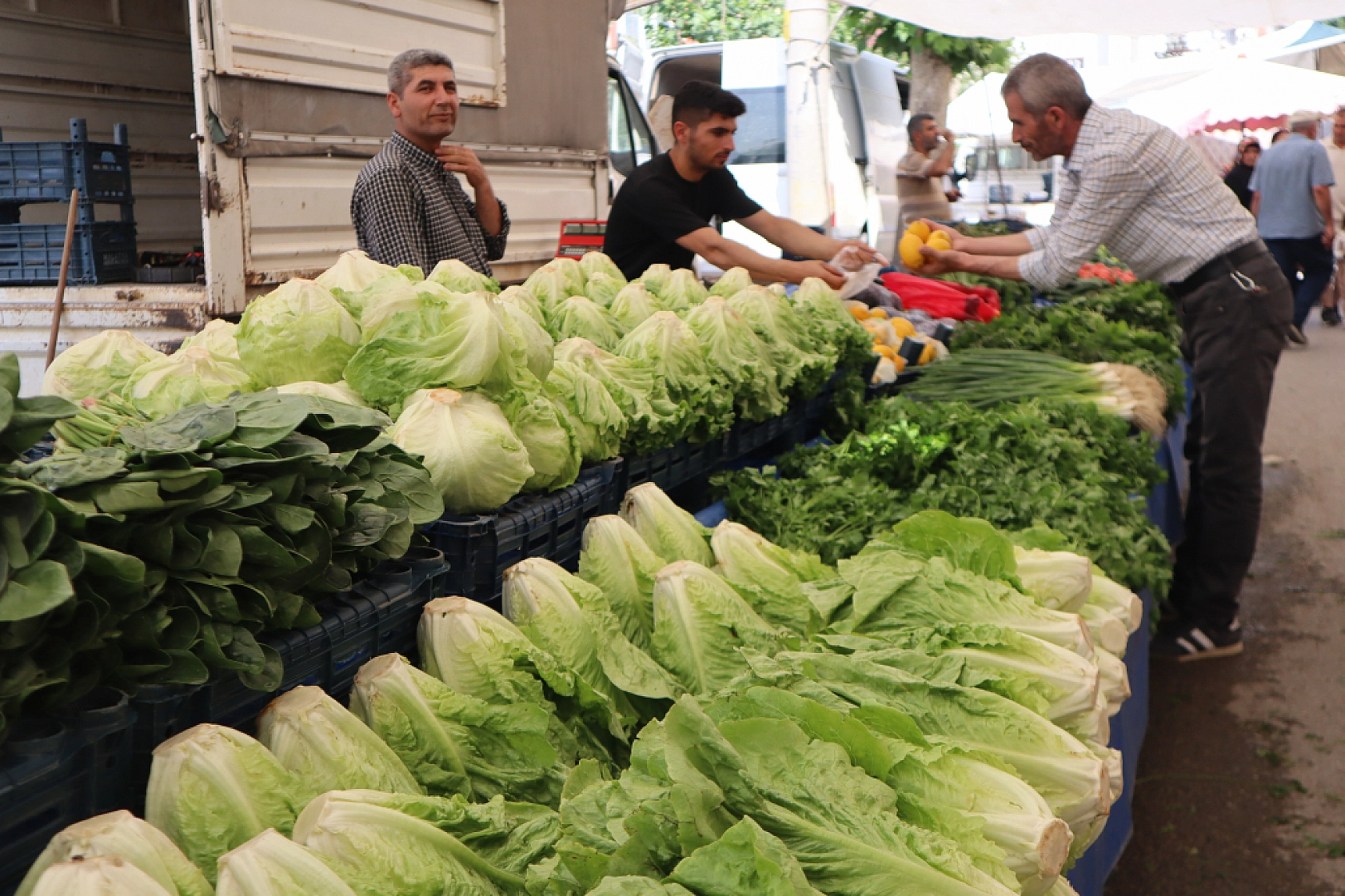 Pazarda fiyat dengesi değişti: Meyveye el değmiyor! İşte güncel pazar fiyatları....