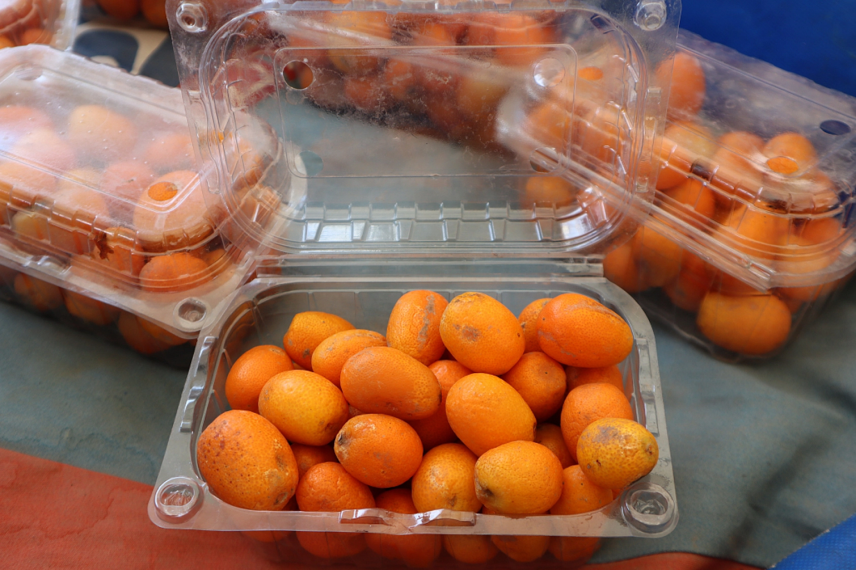 Pazarda fiyat dengesi değişti: Meyveye el değmiyor! İşte güncel pazar fiyatları....